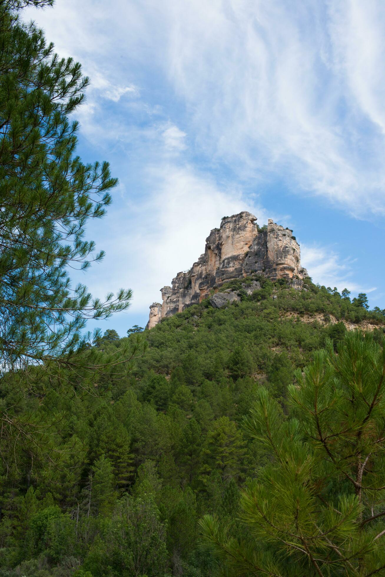 Landscape with a pine forest and beautiful rocks that look like a castle Stock Free