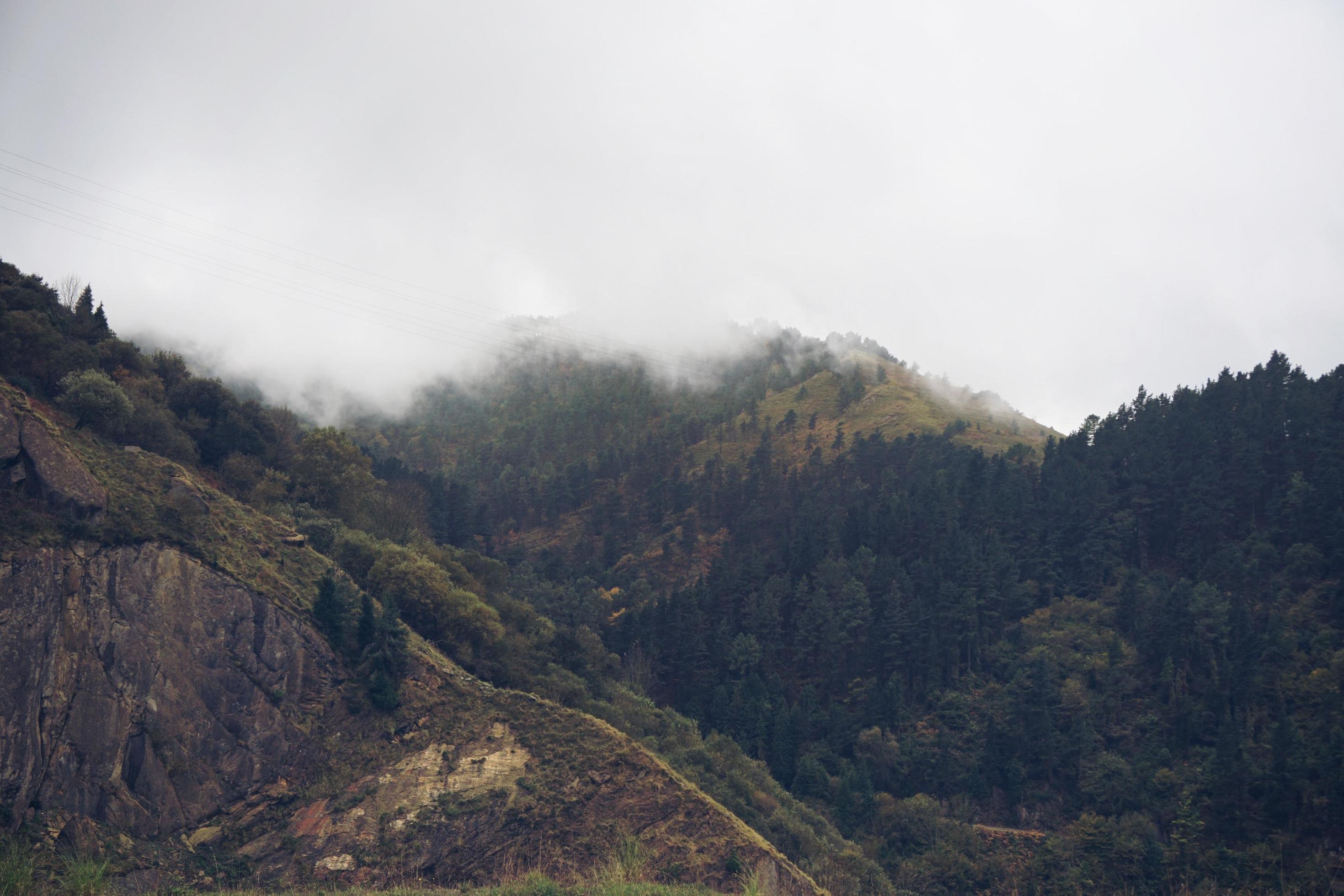 Trees in the mountain nature landscape in Bilbao Spain Stock Free