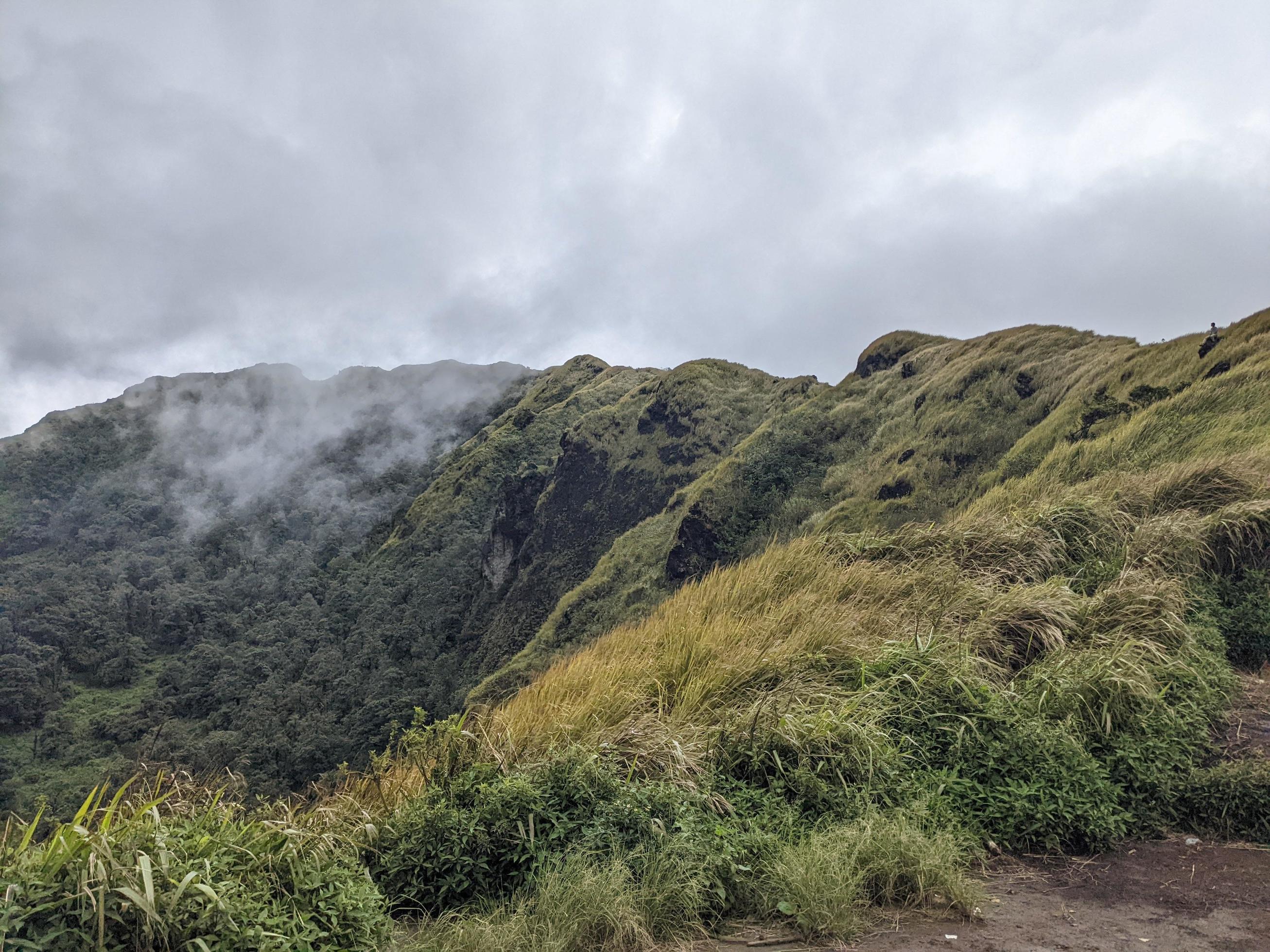 The way going to peak mountain, with Savana and foggy vibes. The photo is suitable to use for adventure content media, nature poster and forest background. Stock Free