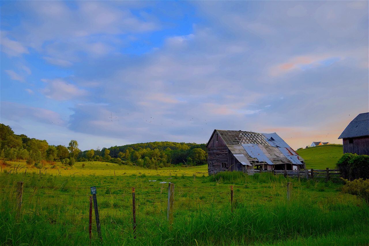 Agriculture Stock Free