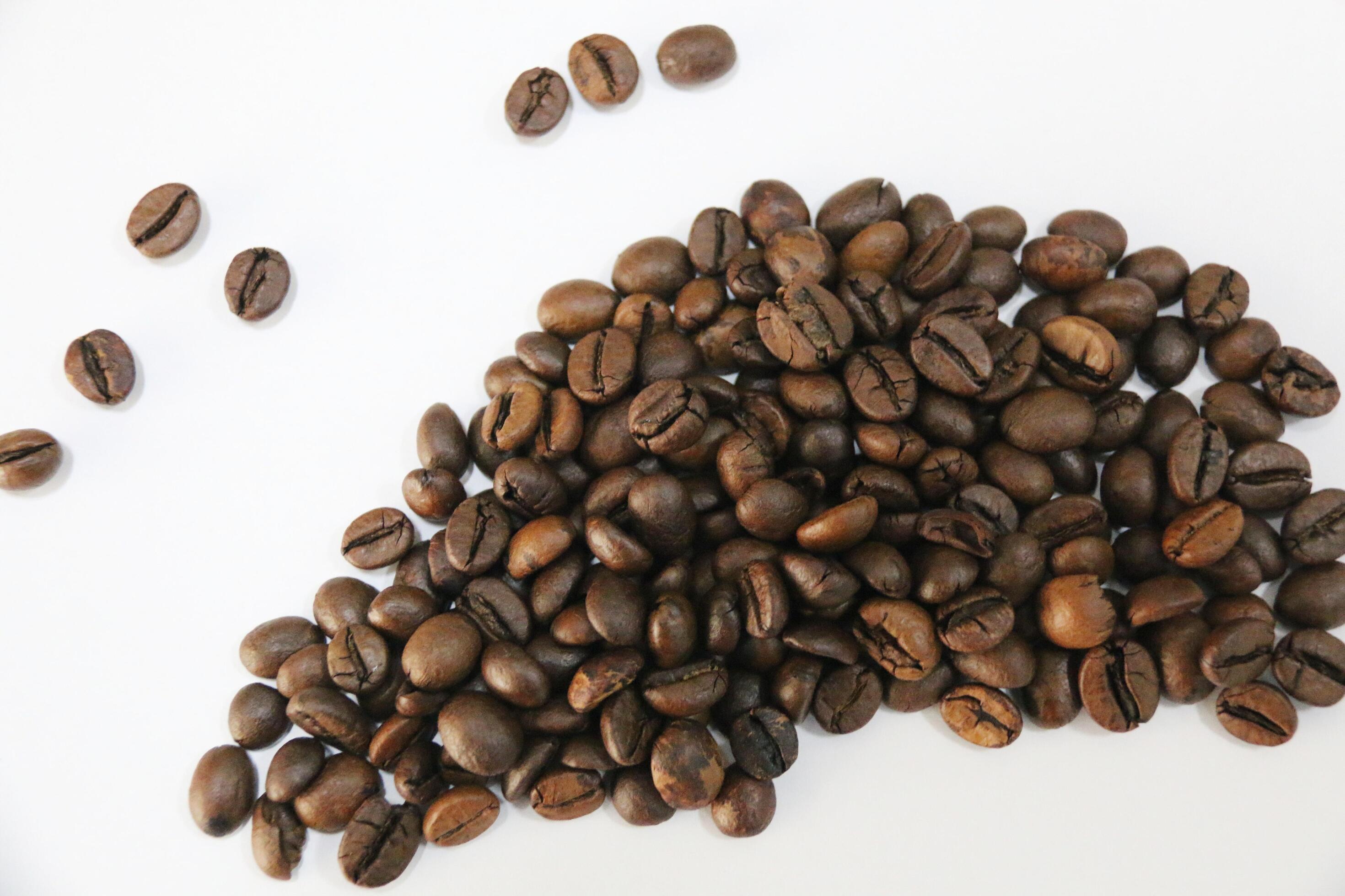 photo of coffee beans on a white background Stock Free