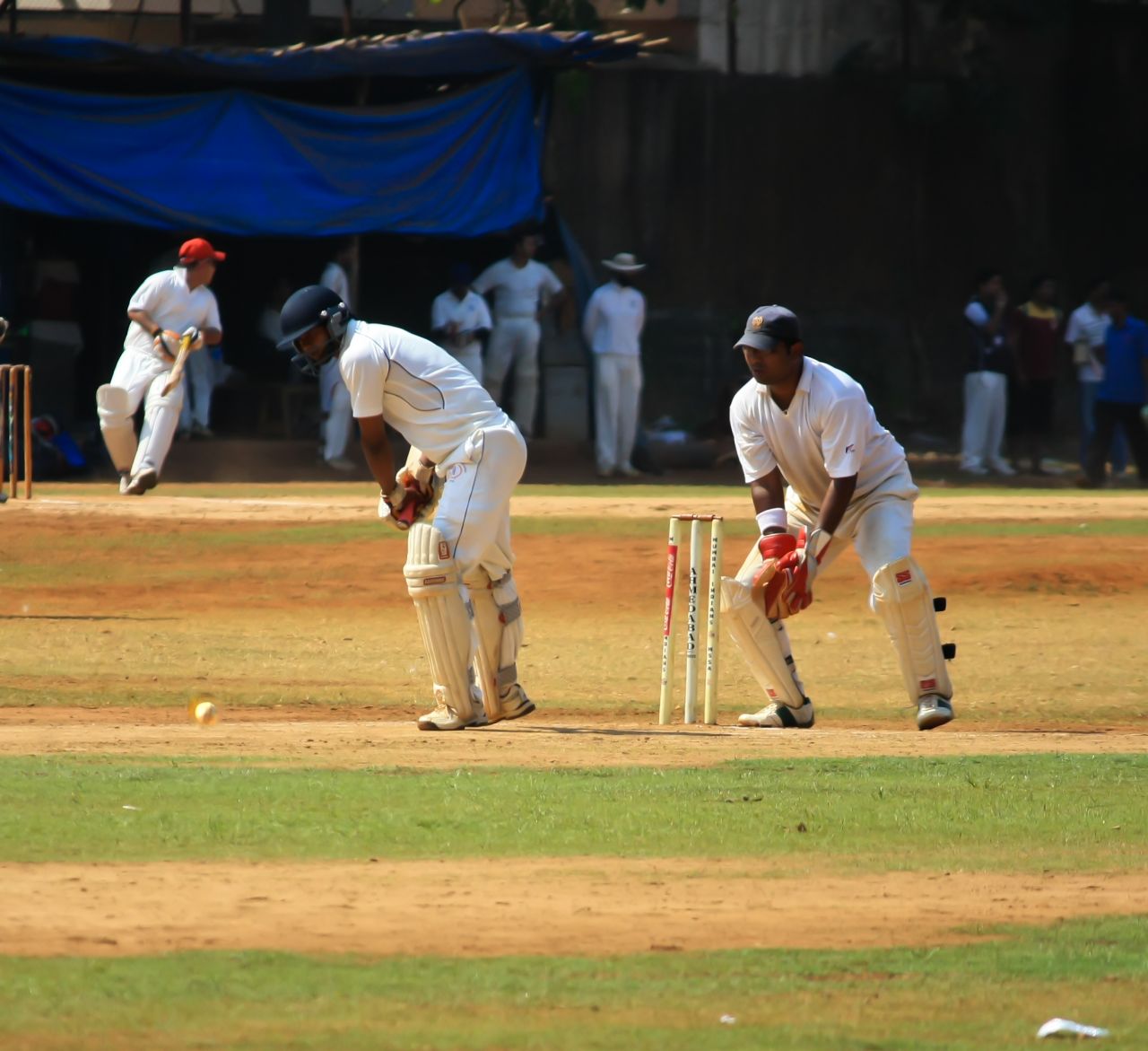 Batsman Playing Cricket Stock Free