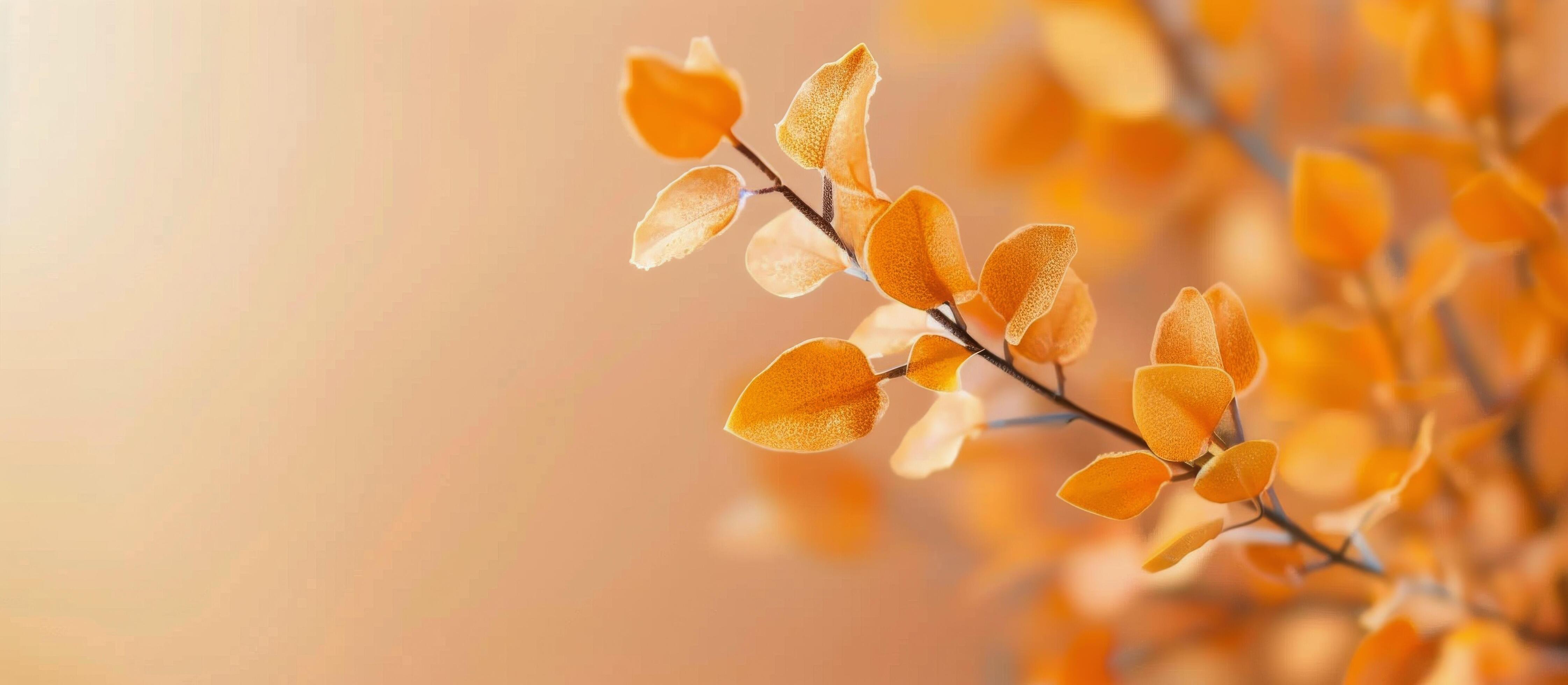 Autumn Leaves on Beige Background Stock Free