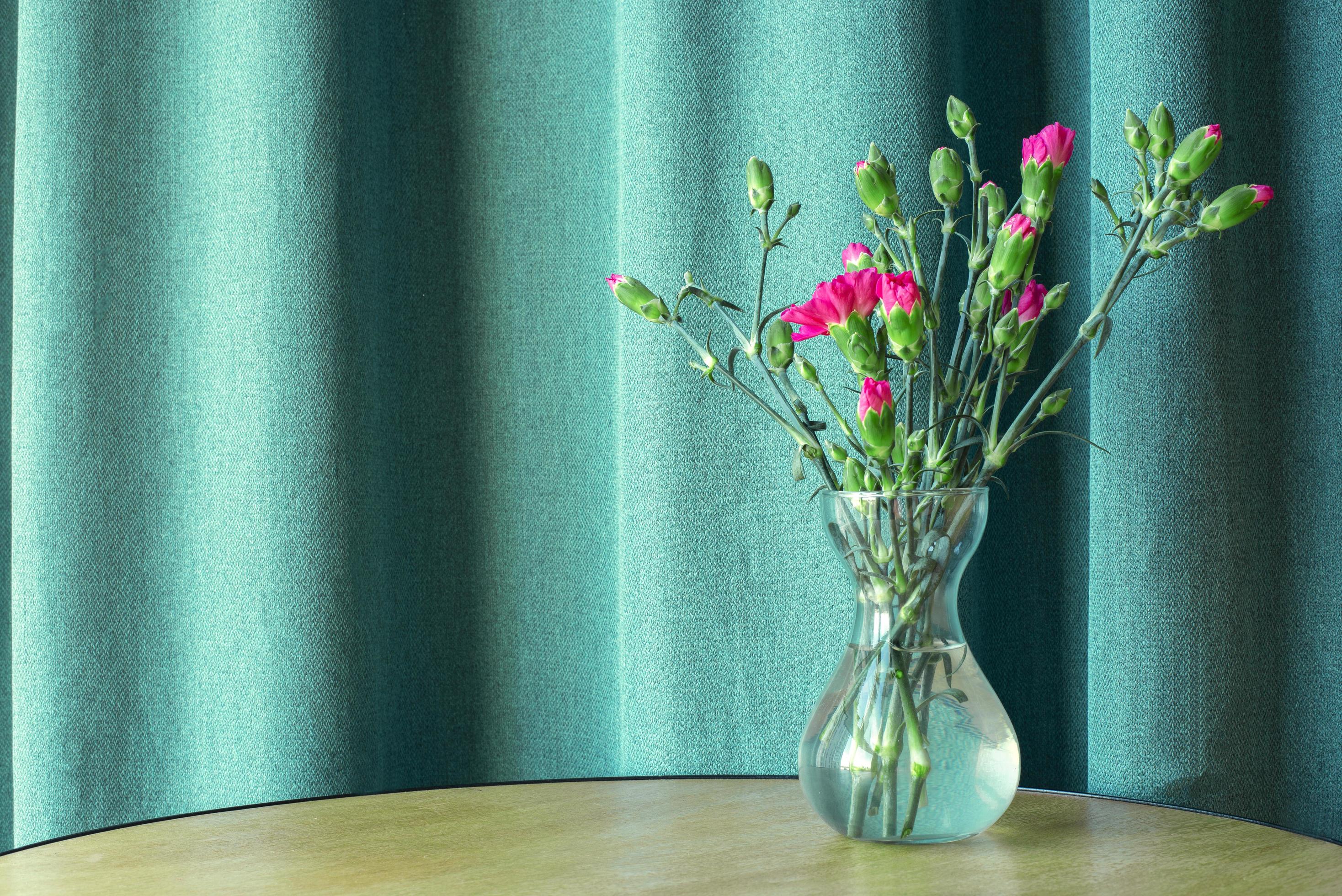 Vase with pink flowers on a table on a blue background. Carnations. Stock Free