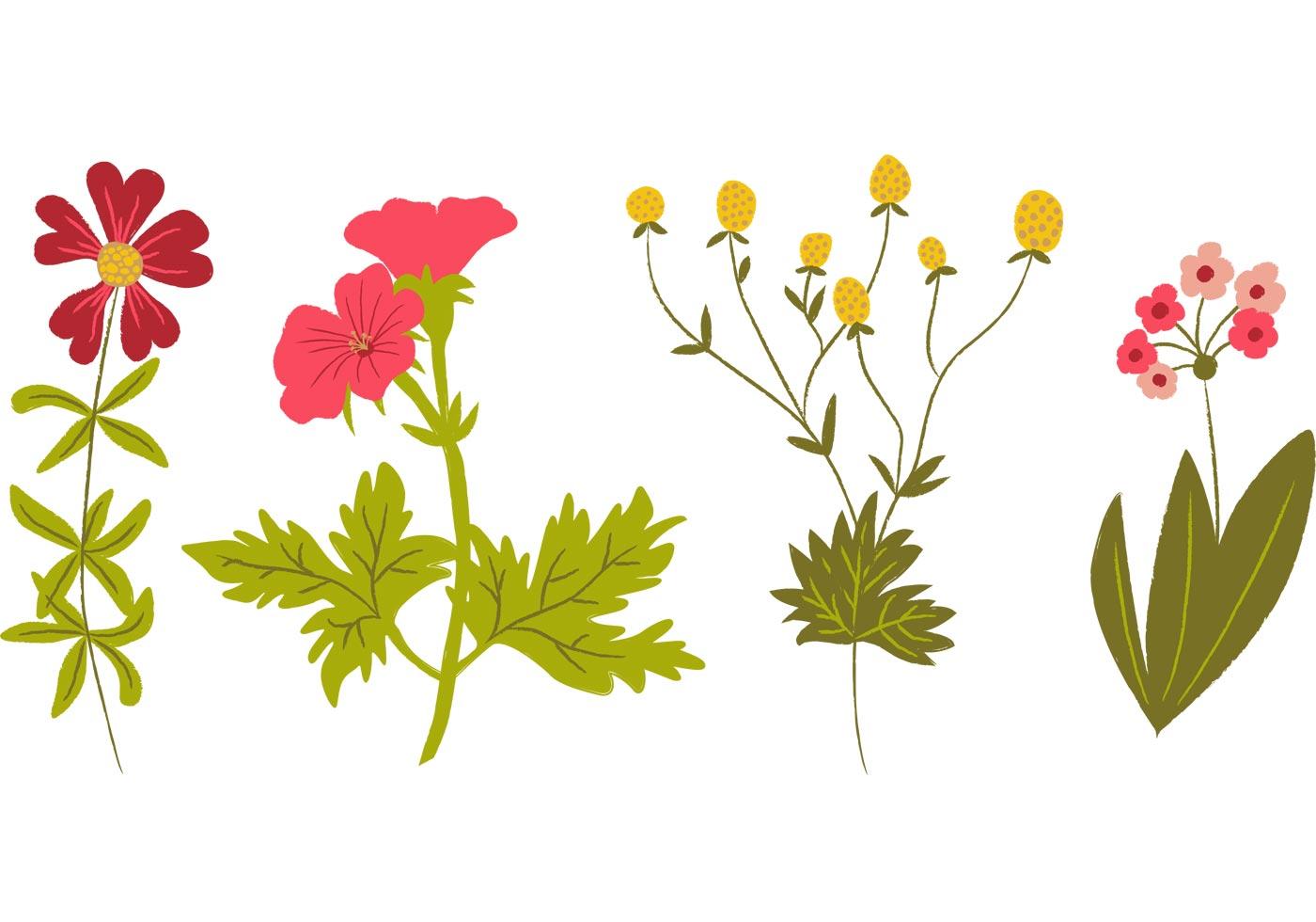 Hand Drawn Wildflowers Vectors Stock Free and Free SVG