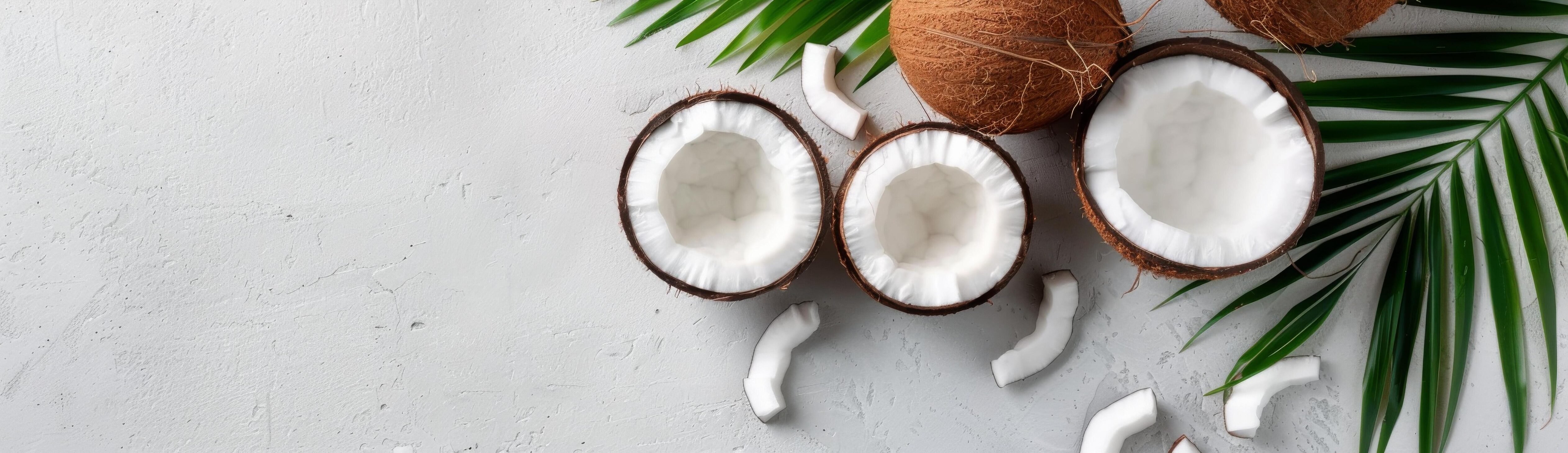 Coconut and Palm Leaves on White Background Stock Free