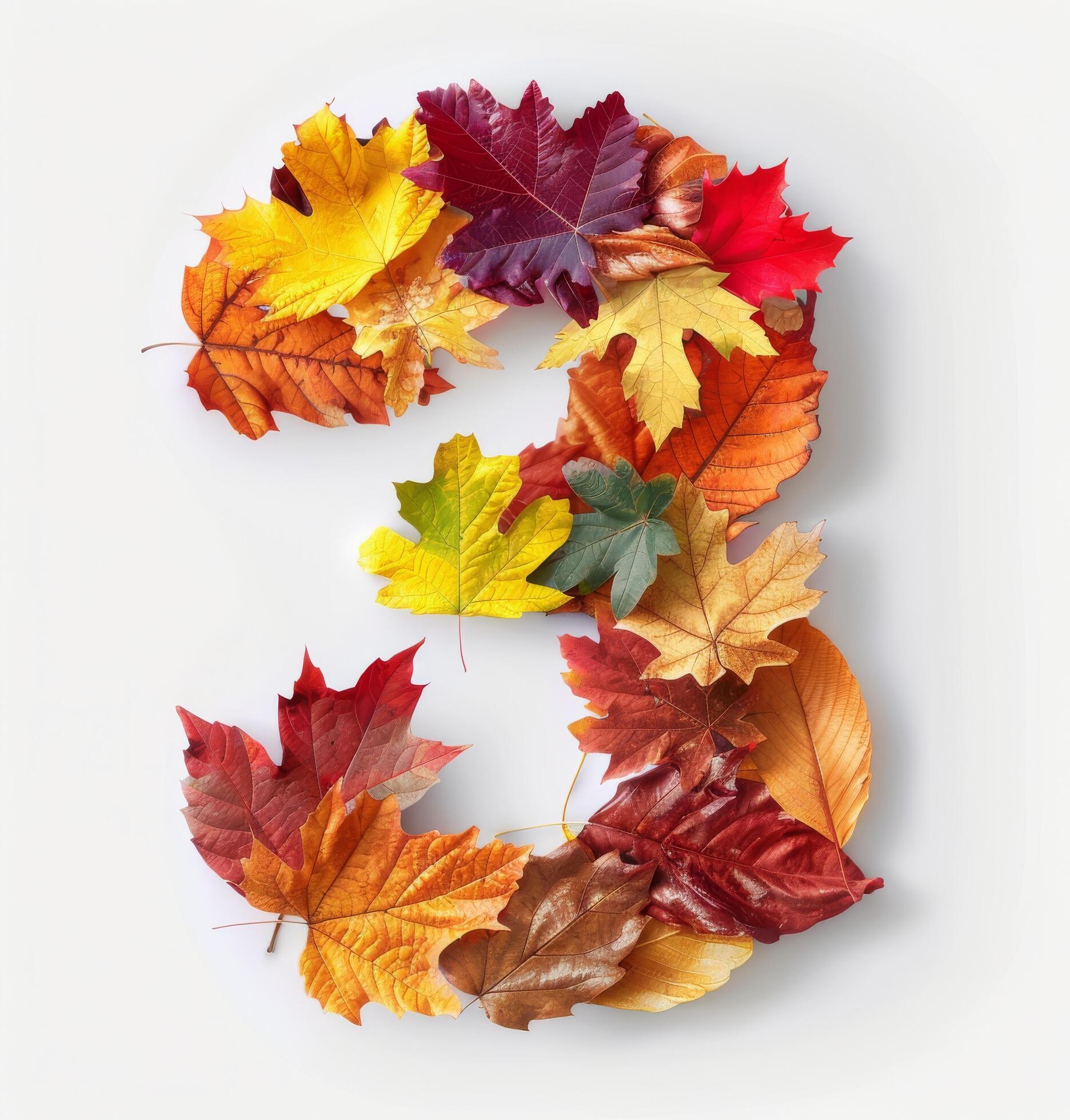 Colorful Autumn Leaves Arranged in a Number Three Shape on a White Background Stock Free