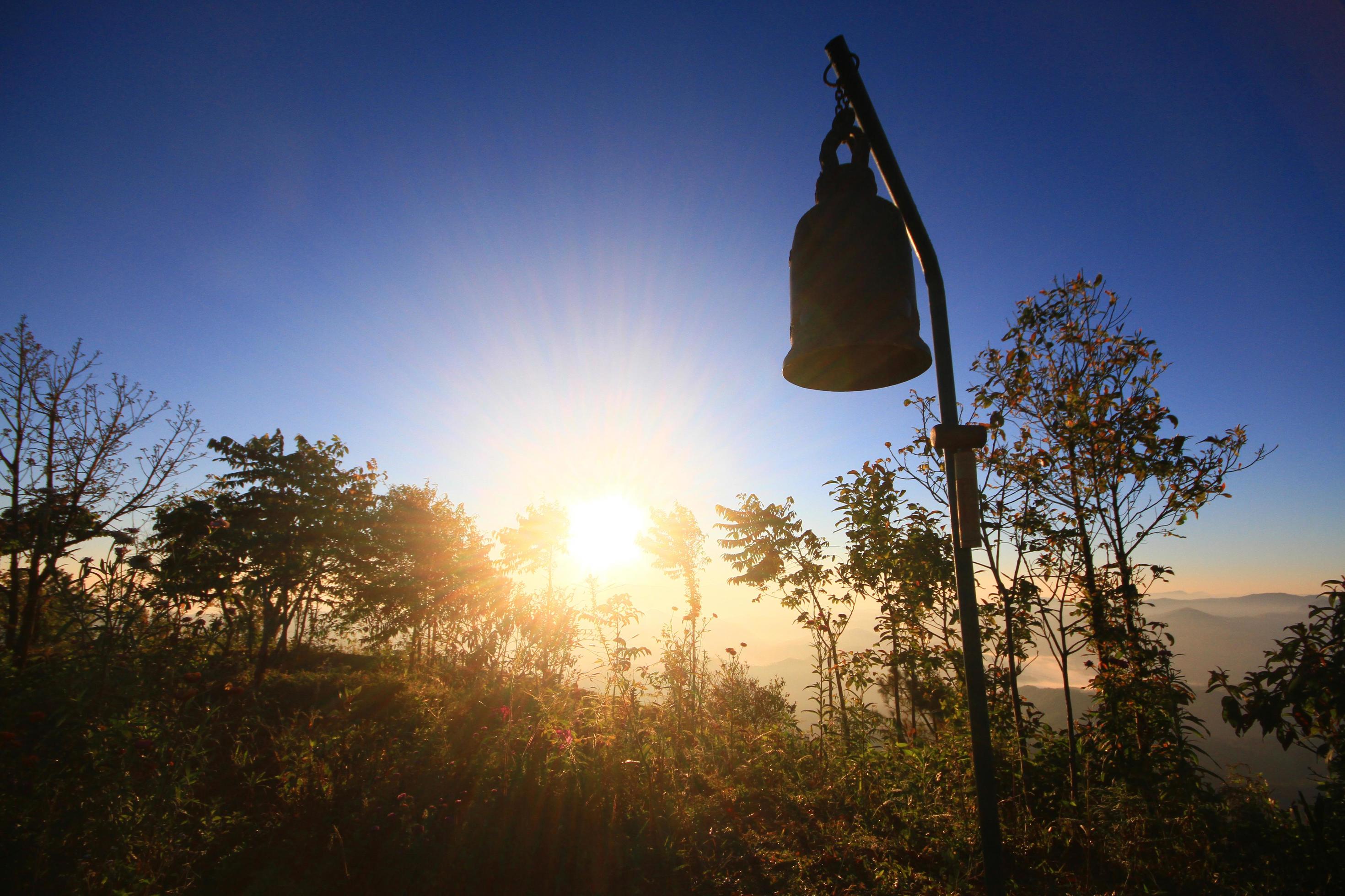 Beautiful silhouette of golden bell in twilight of sunrise with wild and forest on the valley mountain Stock Free