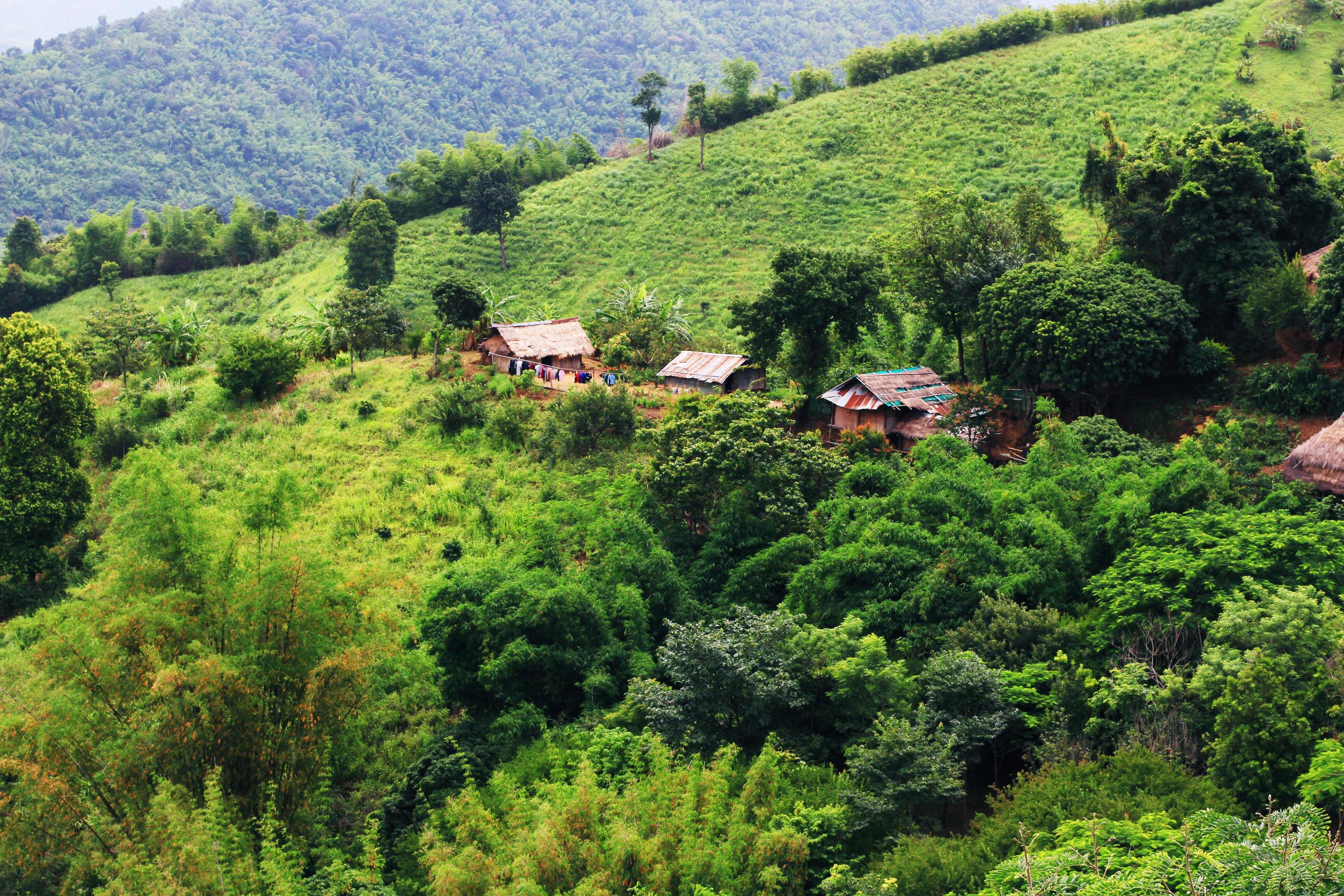 Aerial view Hill tribe village and Tea Plantation in sunrise on the mountain and forest is very beautiful view in Chiangrai Province, Thailand. Stock Free