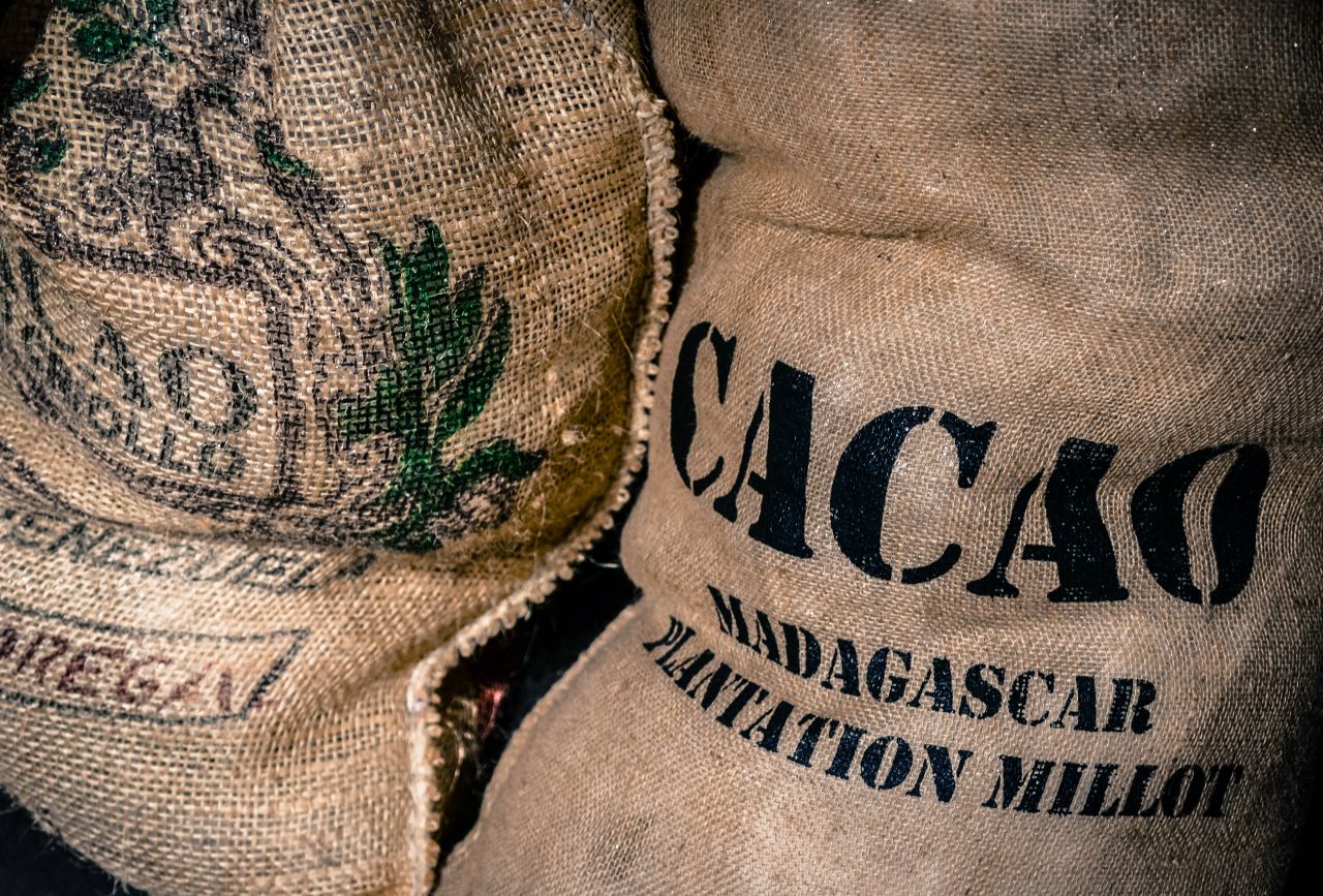 Cacao bags Stock Free