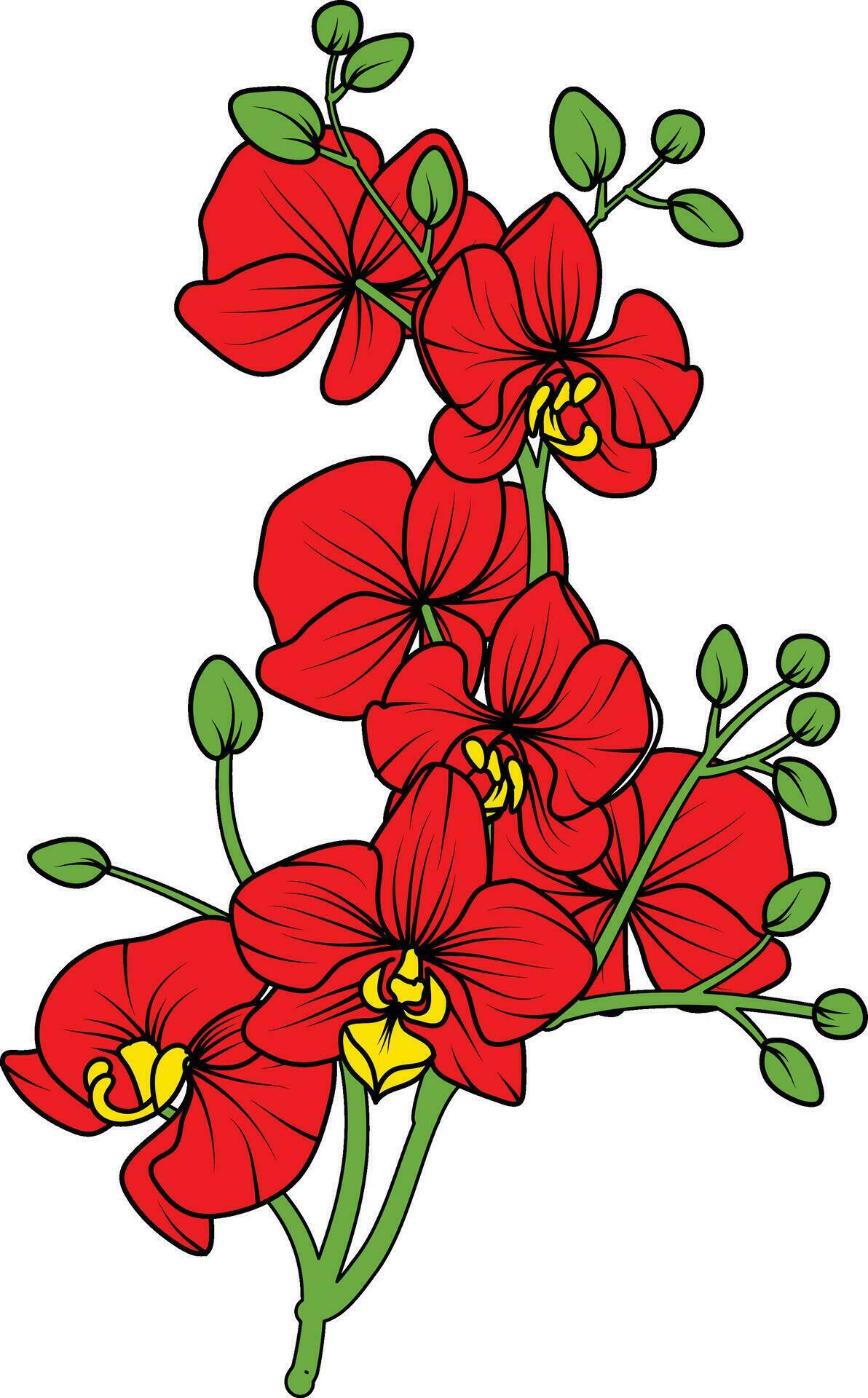 Red orchid branch vector flower, illustration of beautiful red orchid flower Stock Free