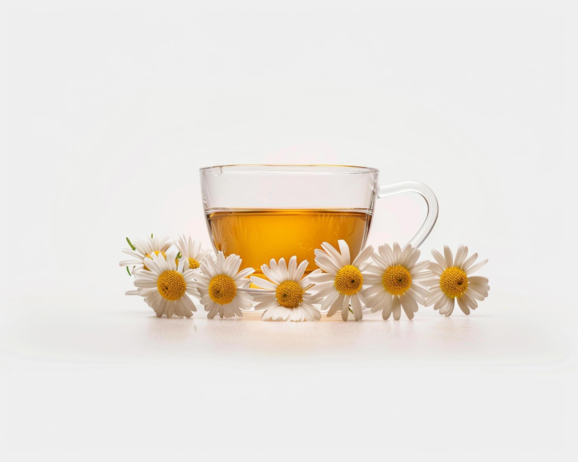 chamomile tea with daisies on white background Stock Free