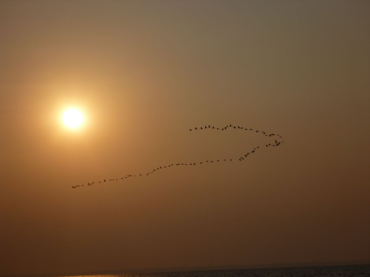 Birds Formation Sea Sunset Stock Free