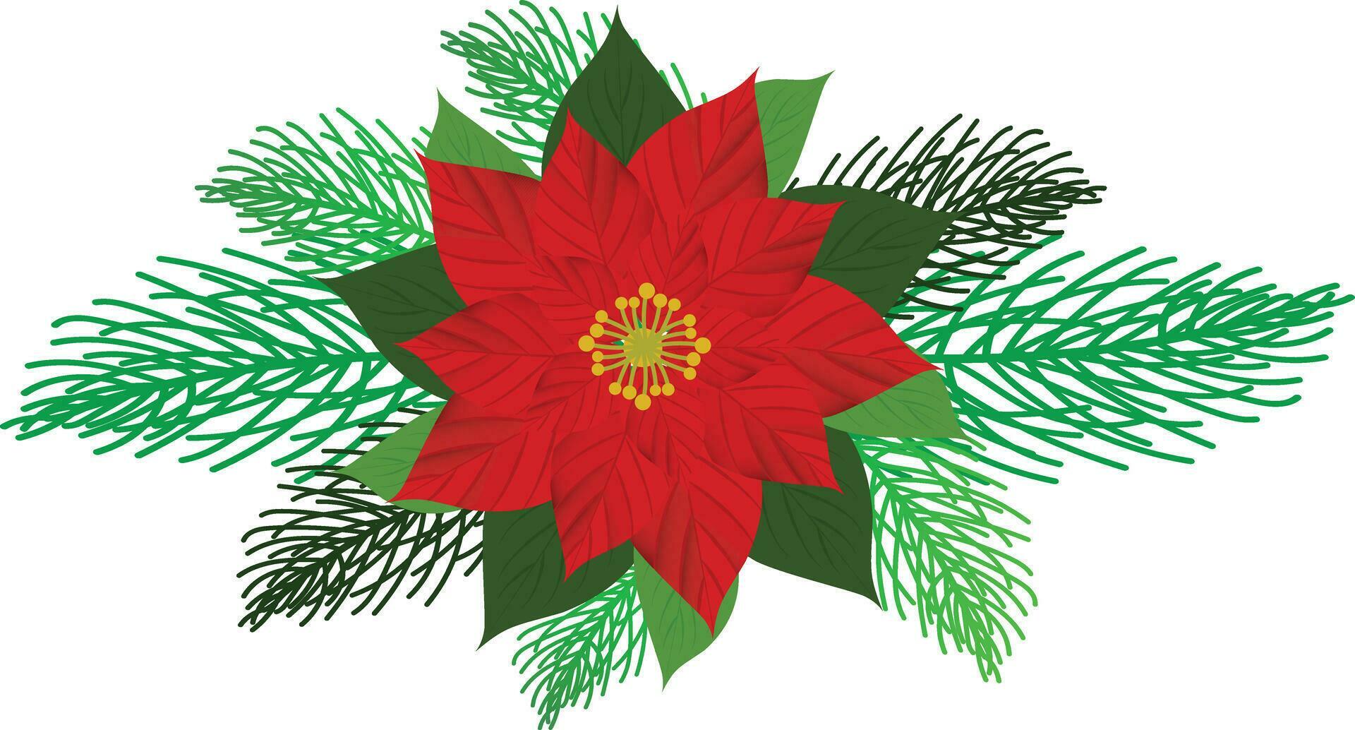 Vector Christmas tree branches and red poinsettia flower in a holiday line arrangement on a white background Stock Free