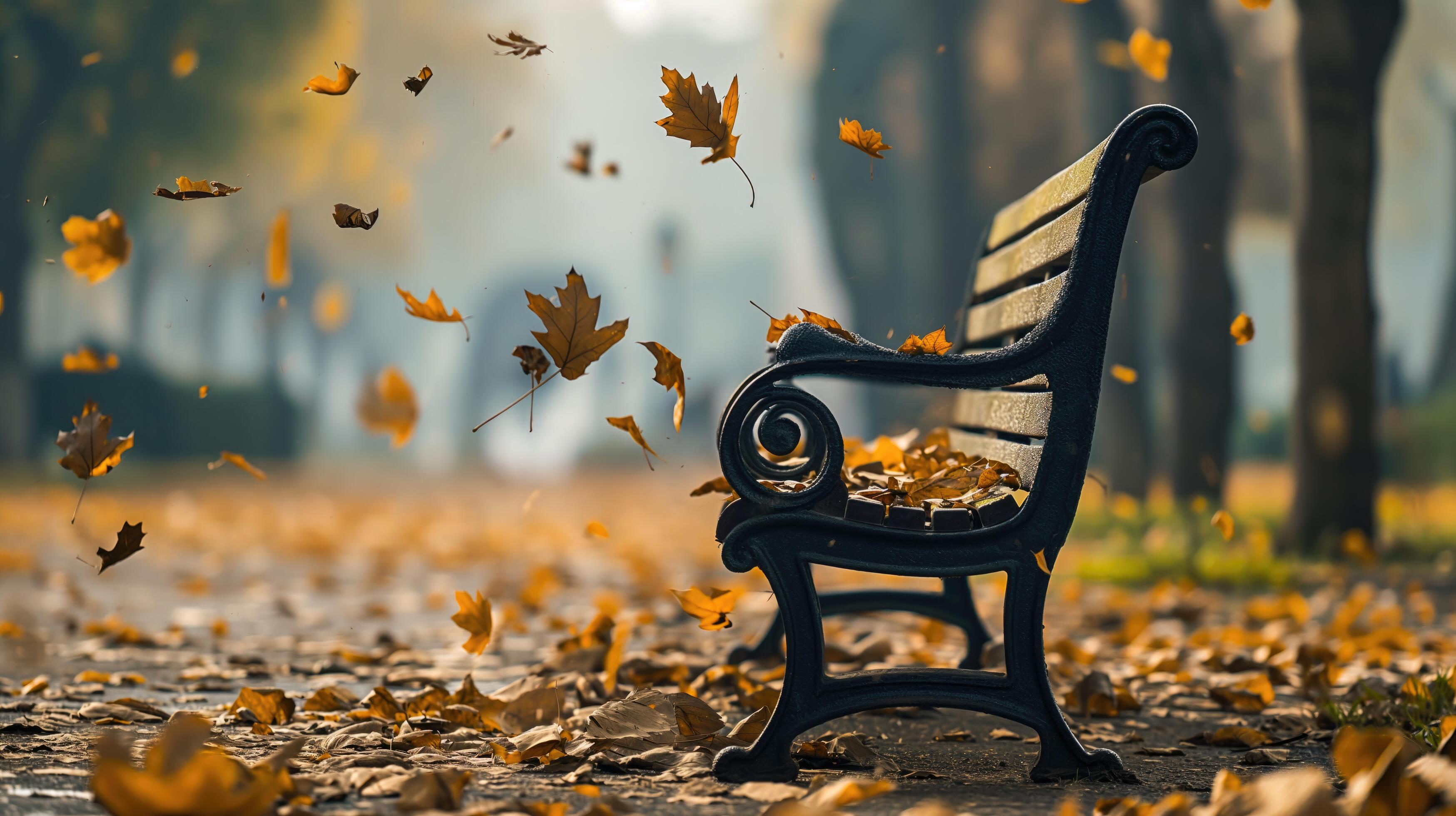 rustic bench in a park at autumn with golden leaves gently falling around Stock Free