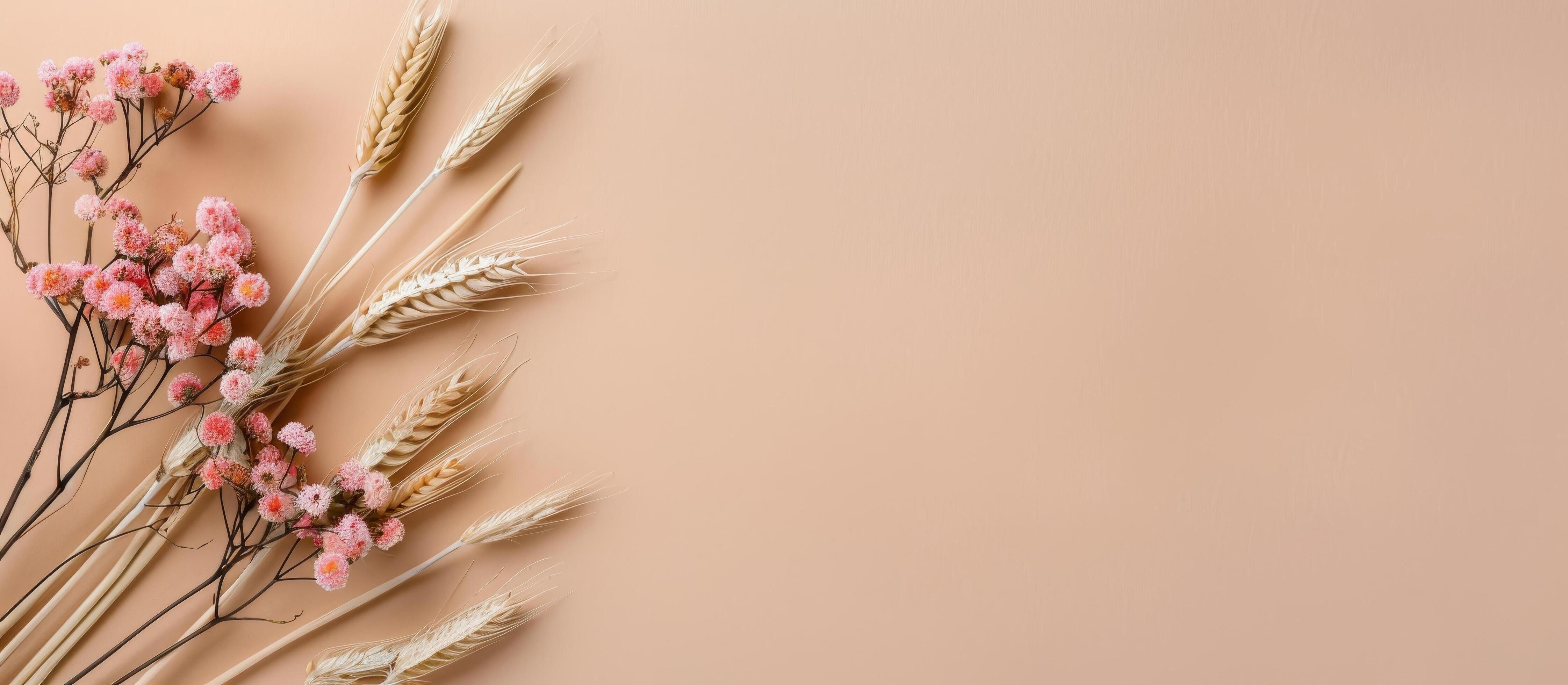 Dried Flowers and Wheat on Peach Background Stock Free