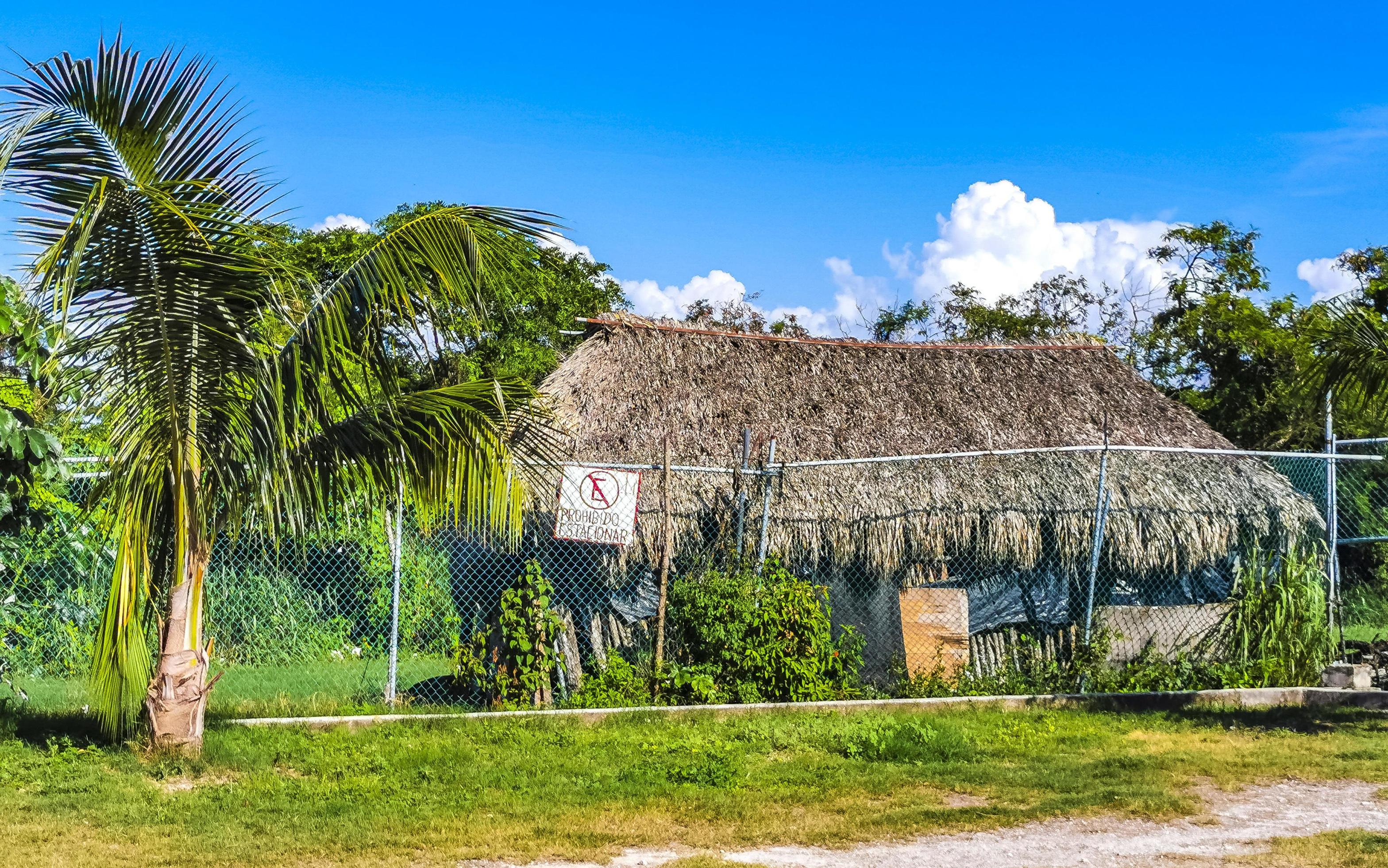 Entrance path of tropical beach between natural huts in Mexico. Stock Free