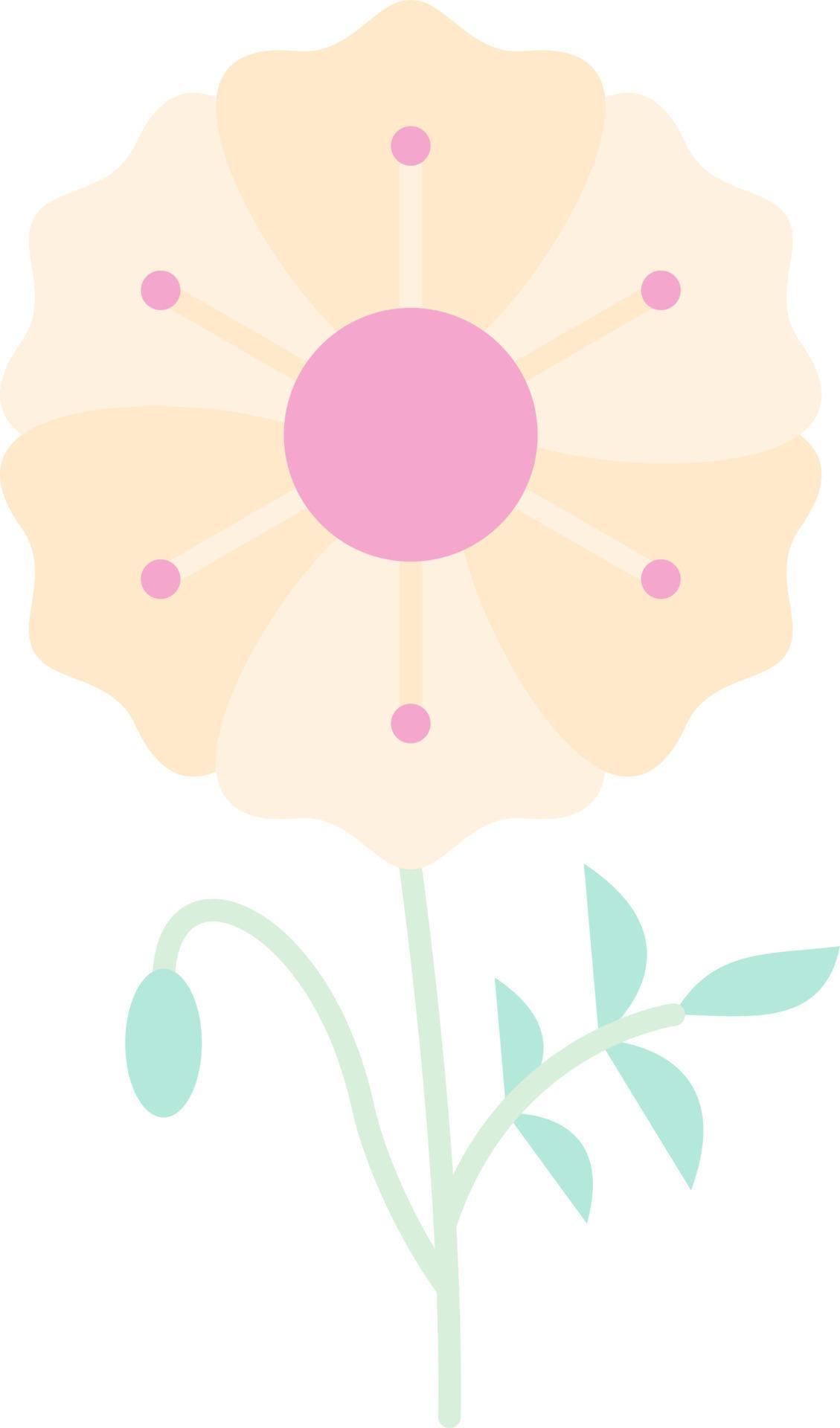 Poppy Vector Icon Design Stock Free