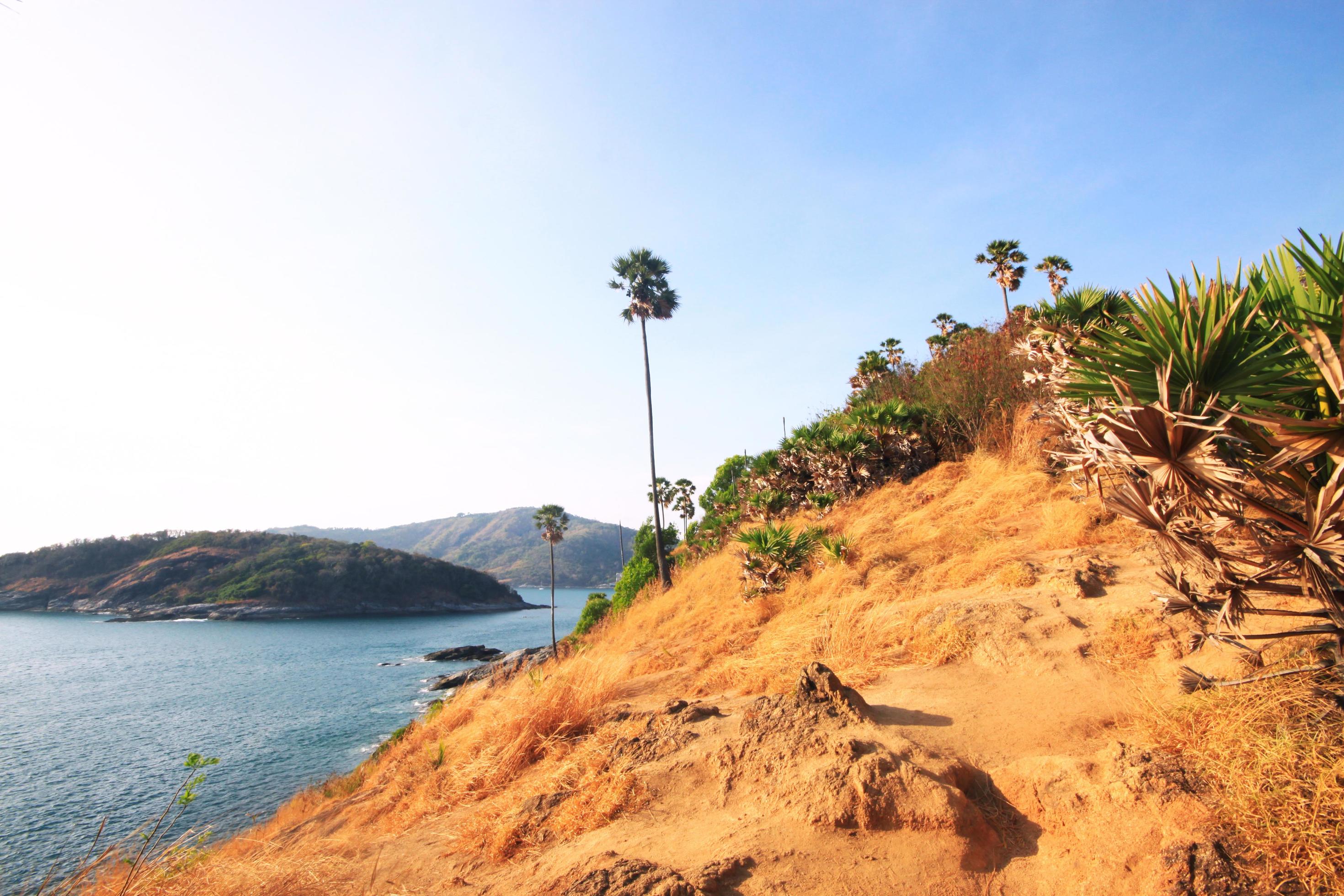 Beautiful seascape with sky twilight of sunset and Palm tree with Dry grass field on mountain of Phrom Thep Cape in Phuket island, Thailand. Stock Free