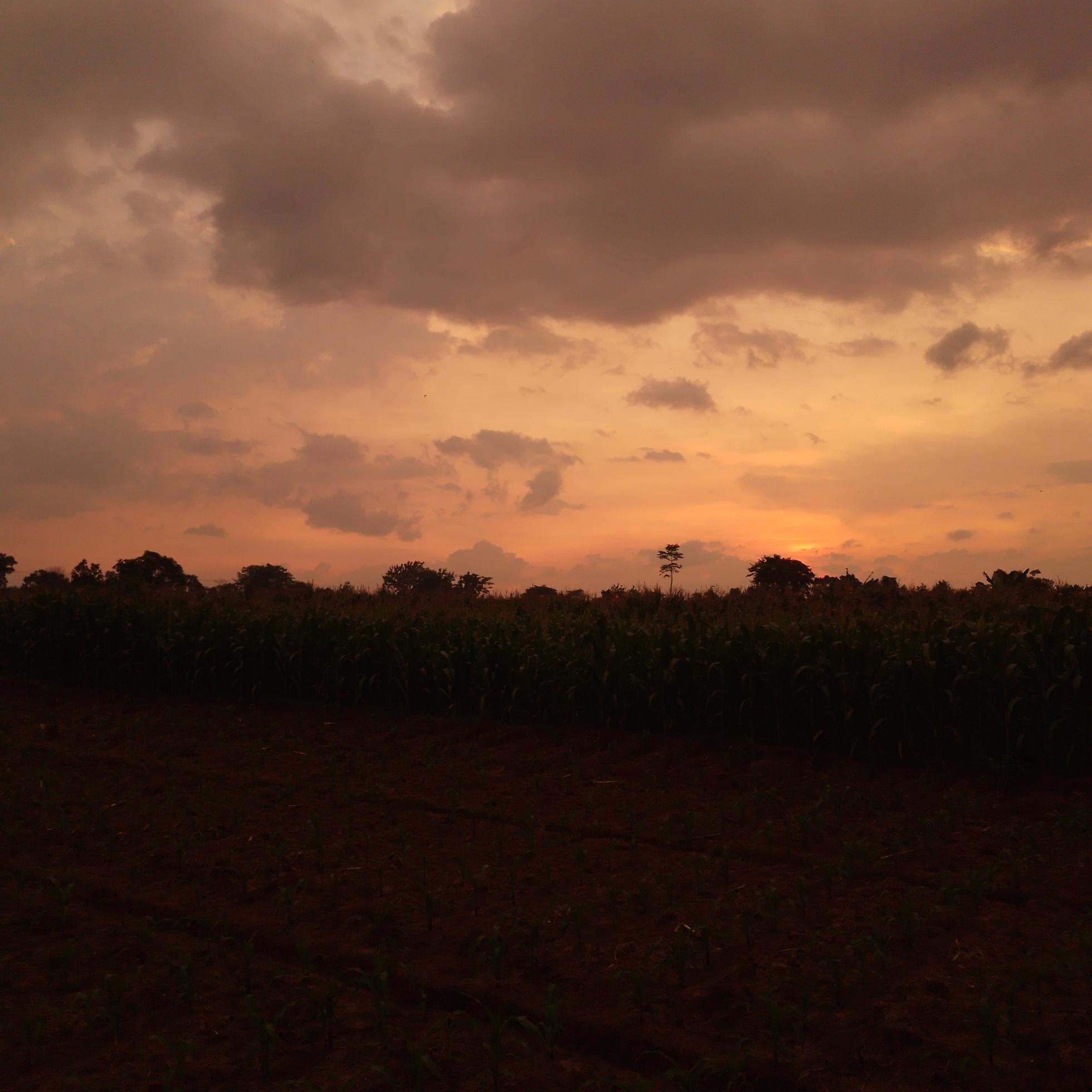 Nature photo at sunset in the countryside Stock Free