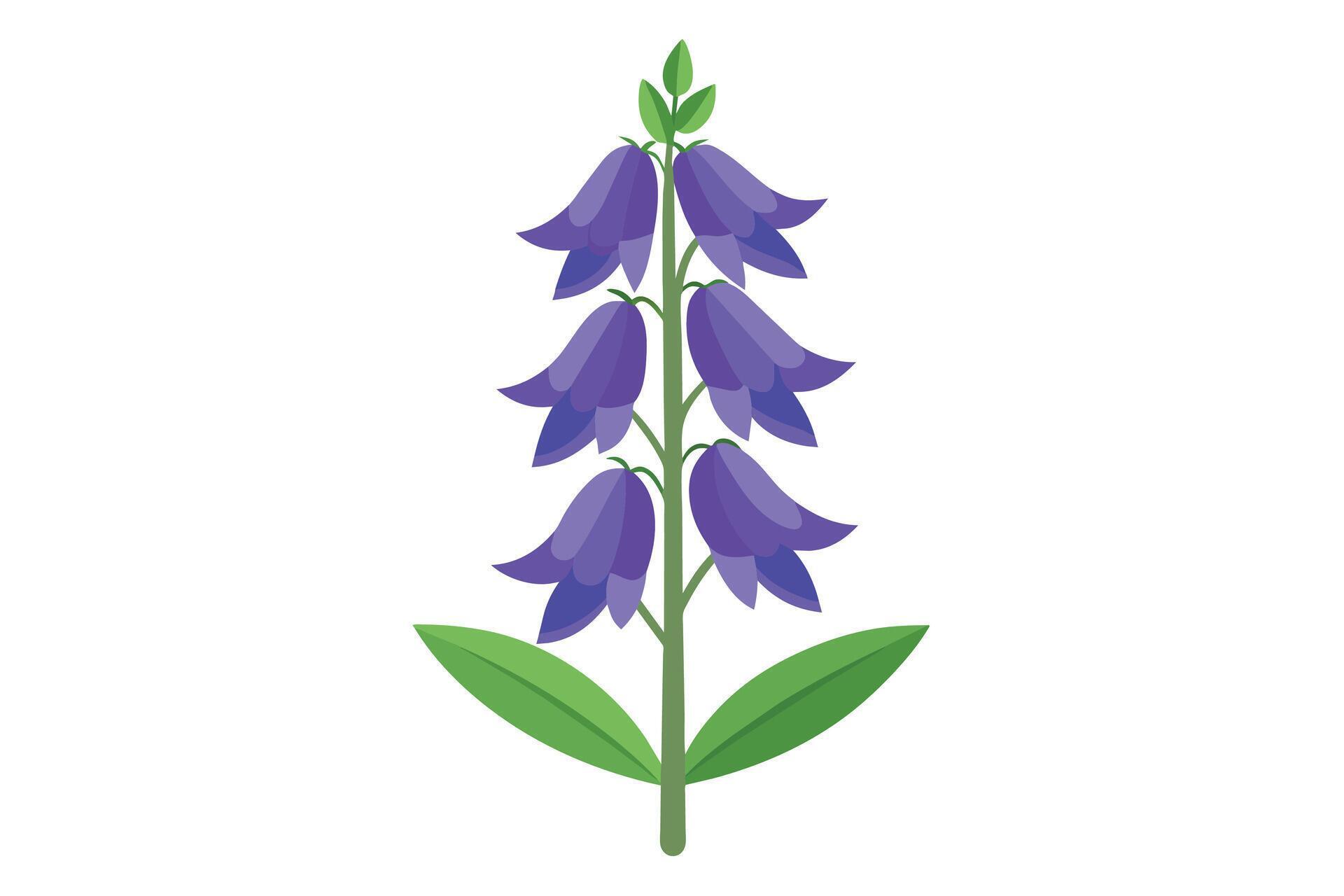 Monkshood Flower Vector Illustration Isolated on a Clean Background Stock Free