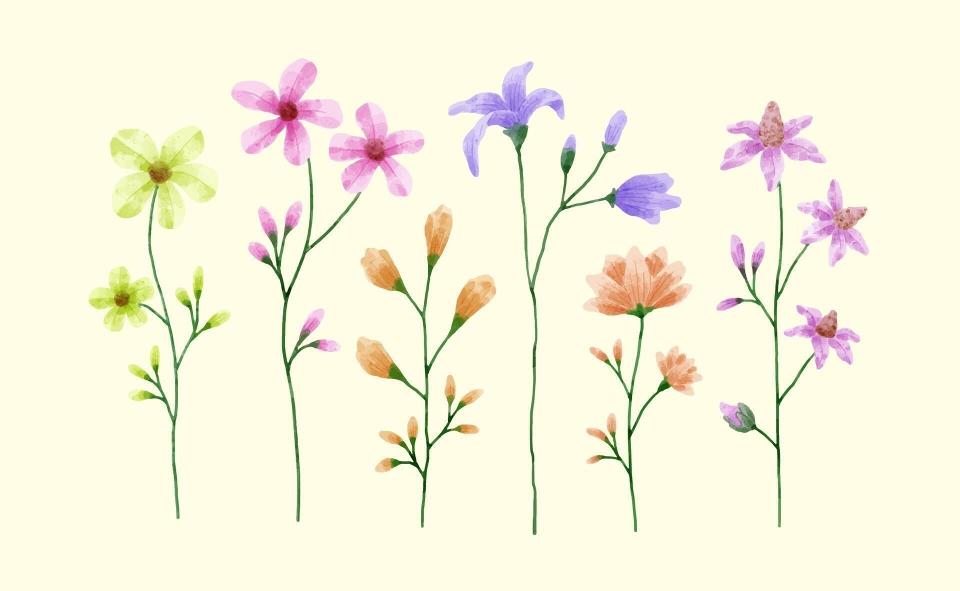 A set of flowers painted in watercolor for designer work create Stock Free