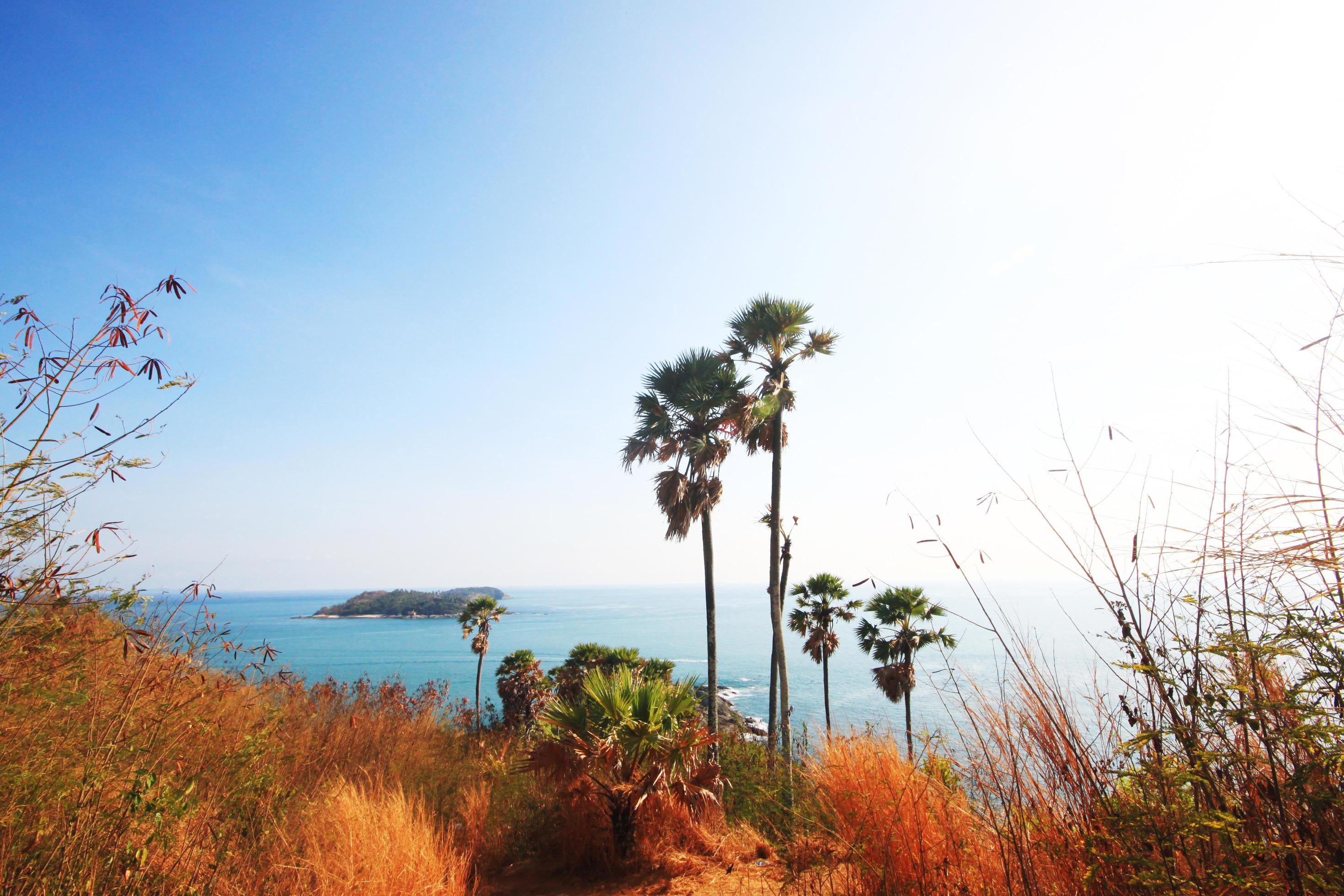 Beautiful seascape with sky twilight of sunset and Palm tree with Dry grass field on mountain of Phrom Thep Cape in Phuket island, Thailand. Stock Free