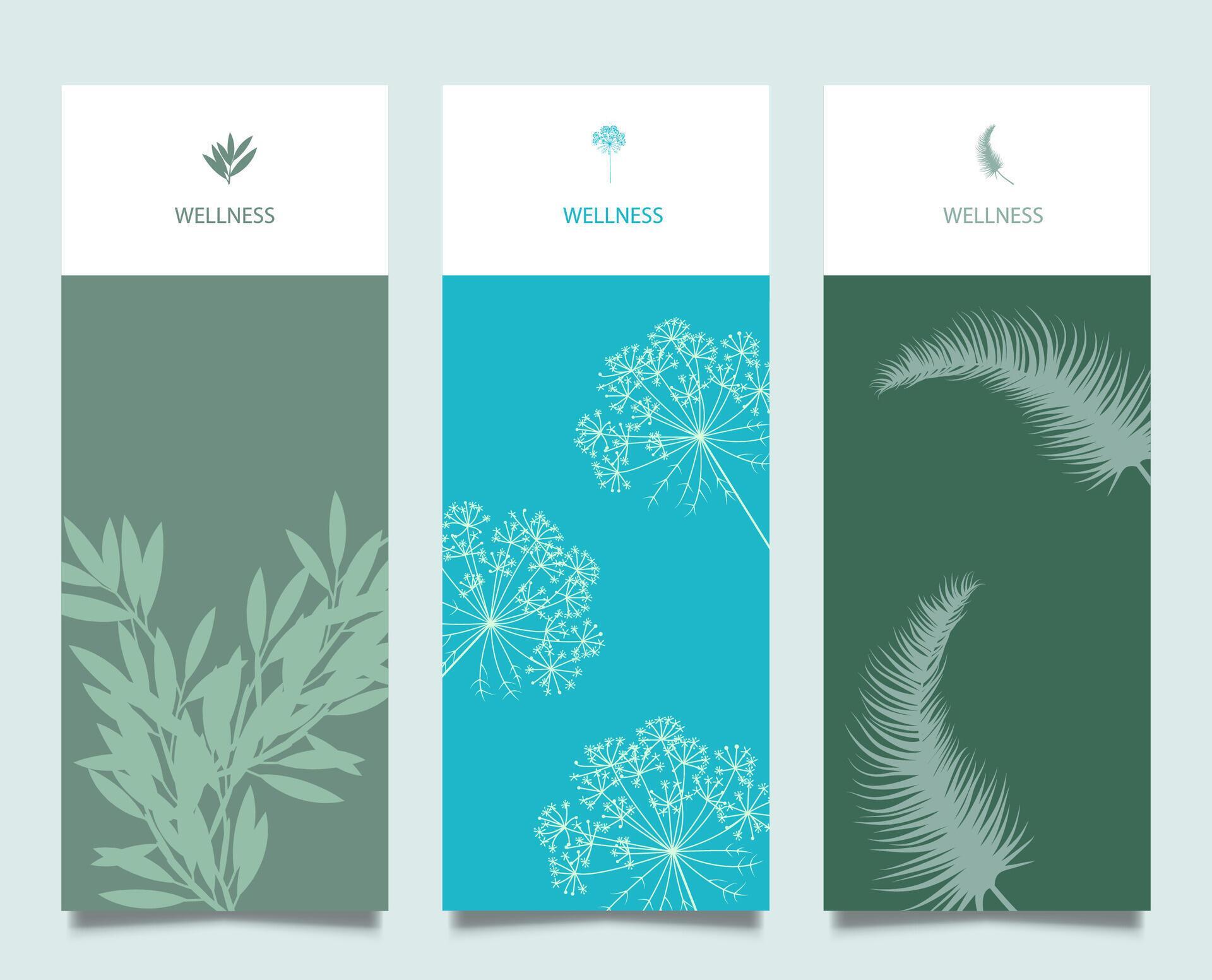 Branding Packaging Flower nature background, logo banner voucher, spring summer tropical, vector illustration – Vector Stock Free