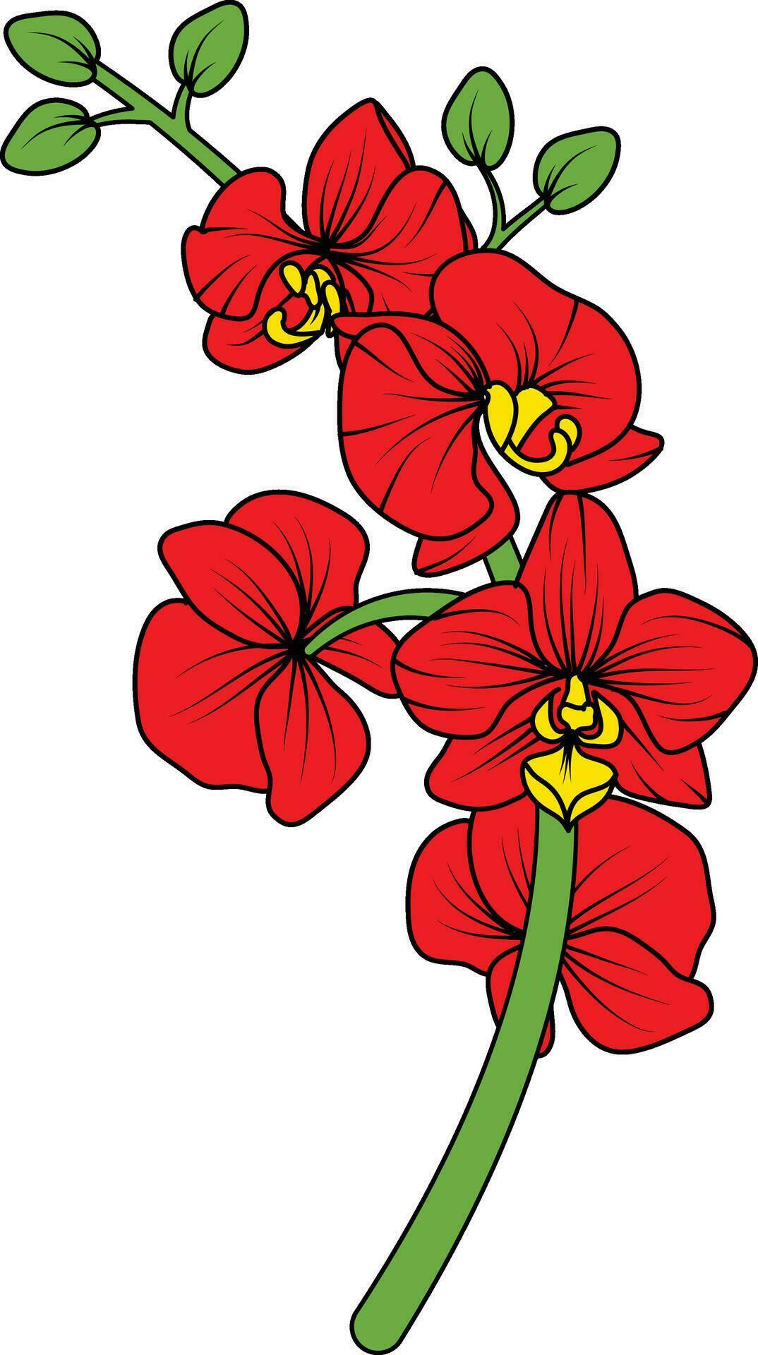 Red orchid branch vector flower, illustration of beautiful red orchid flower Stock Free