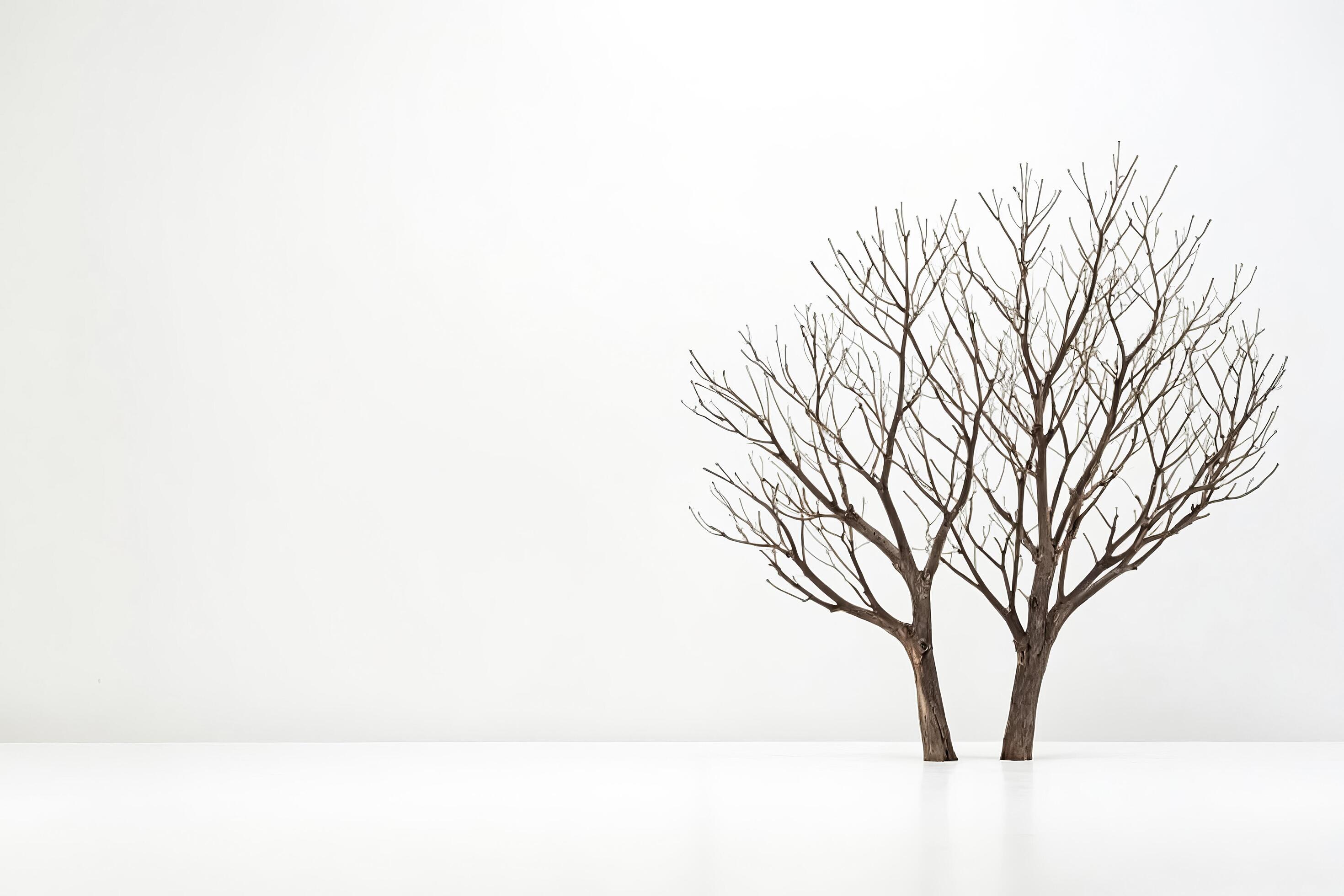 Minimalist Tree Silhouette Against White Background Stock Free