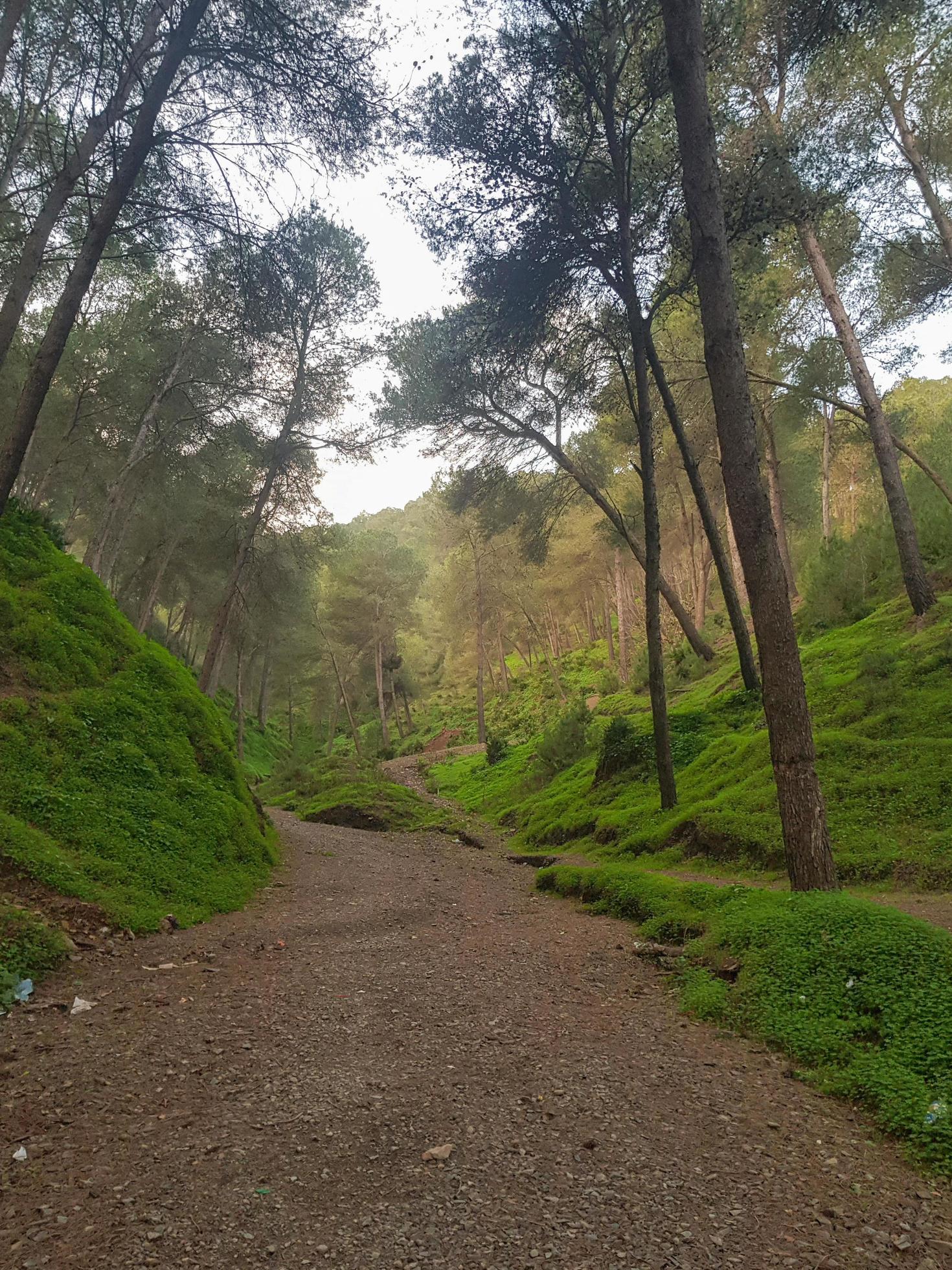 Unveiling the hidden beauty of the natural mountain footpath through the valley Stock Free