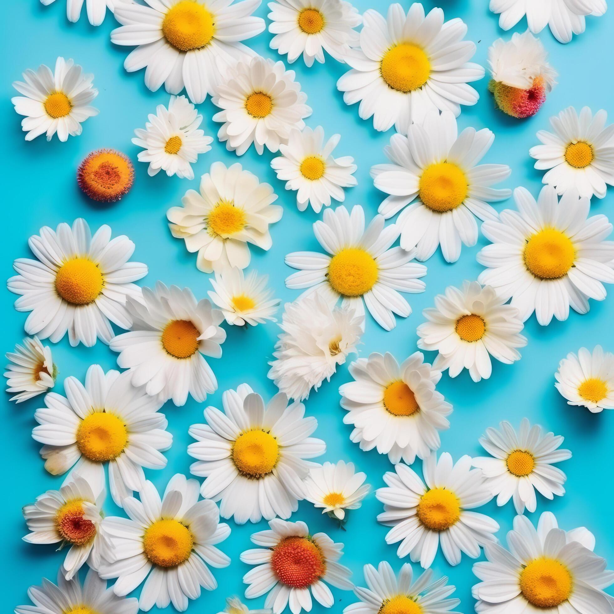 Flower background. Illustration Stock Free