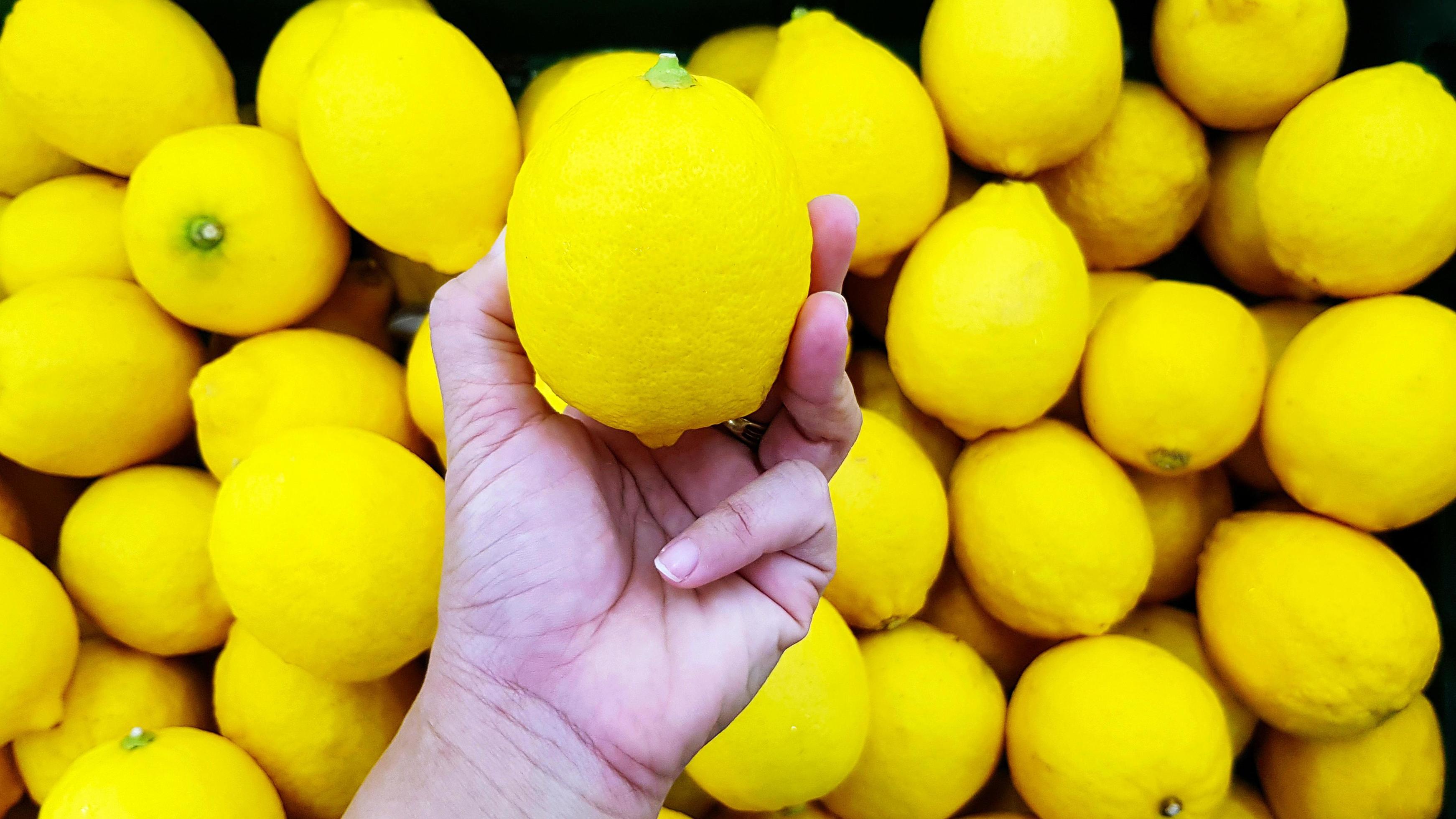 Close up hand of person holding lemon with copy space. Selection and Choice for buy best food, vegetable or fruit at market or supermarket. Stock Free