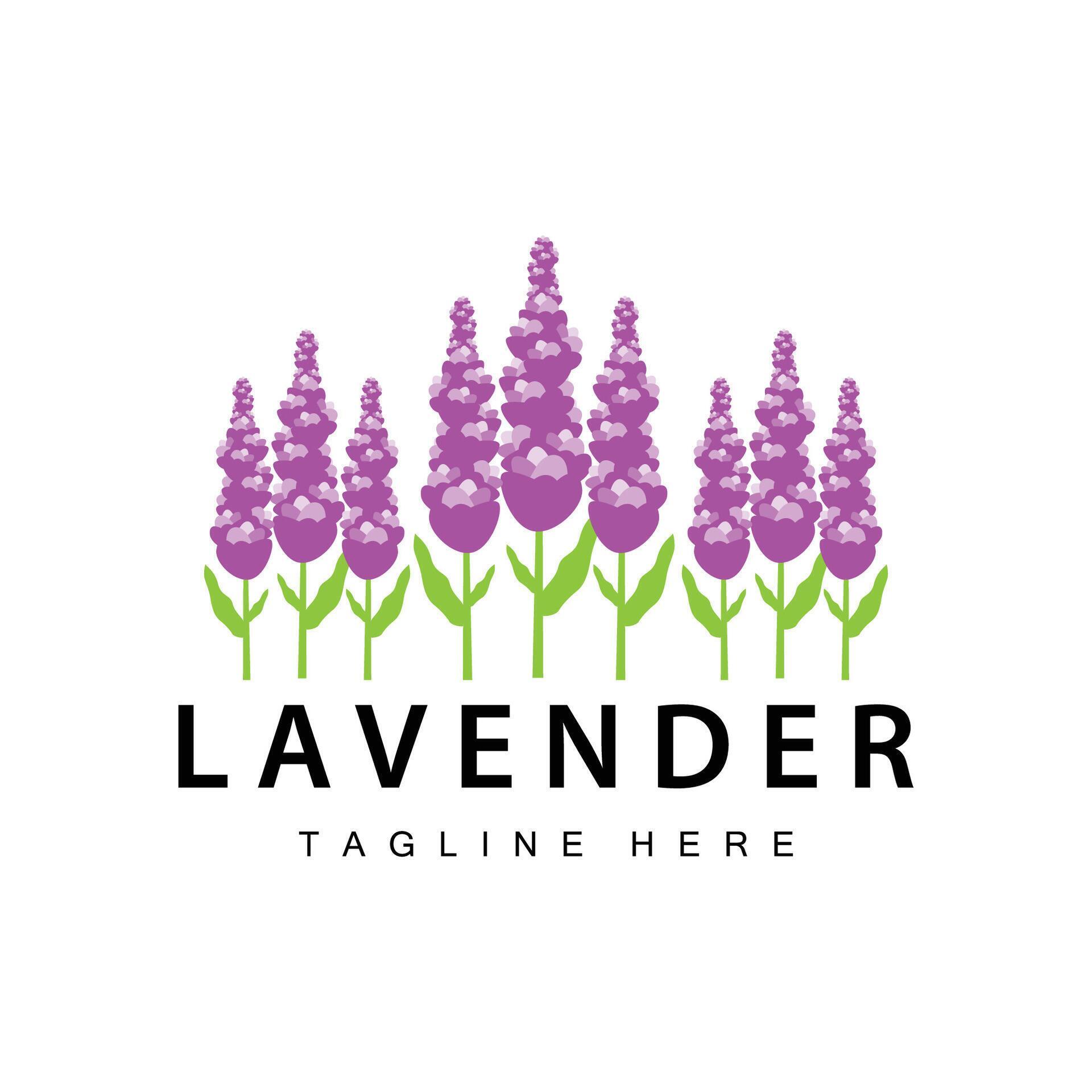 Lavender logo simple design cosmetic plant purple color and aromatherapy lavender flower garden template Stock Free