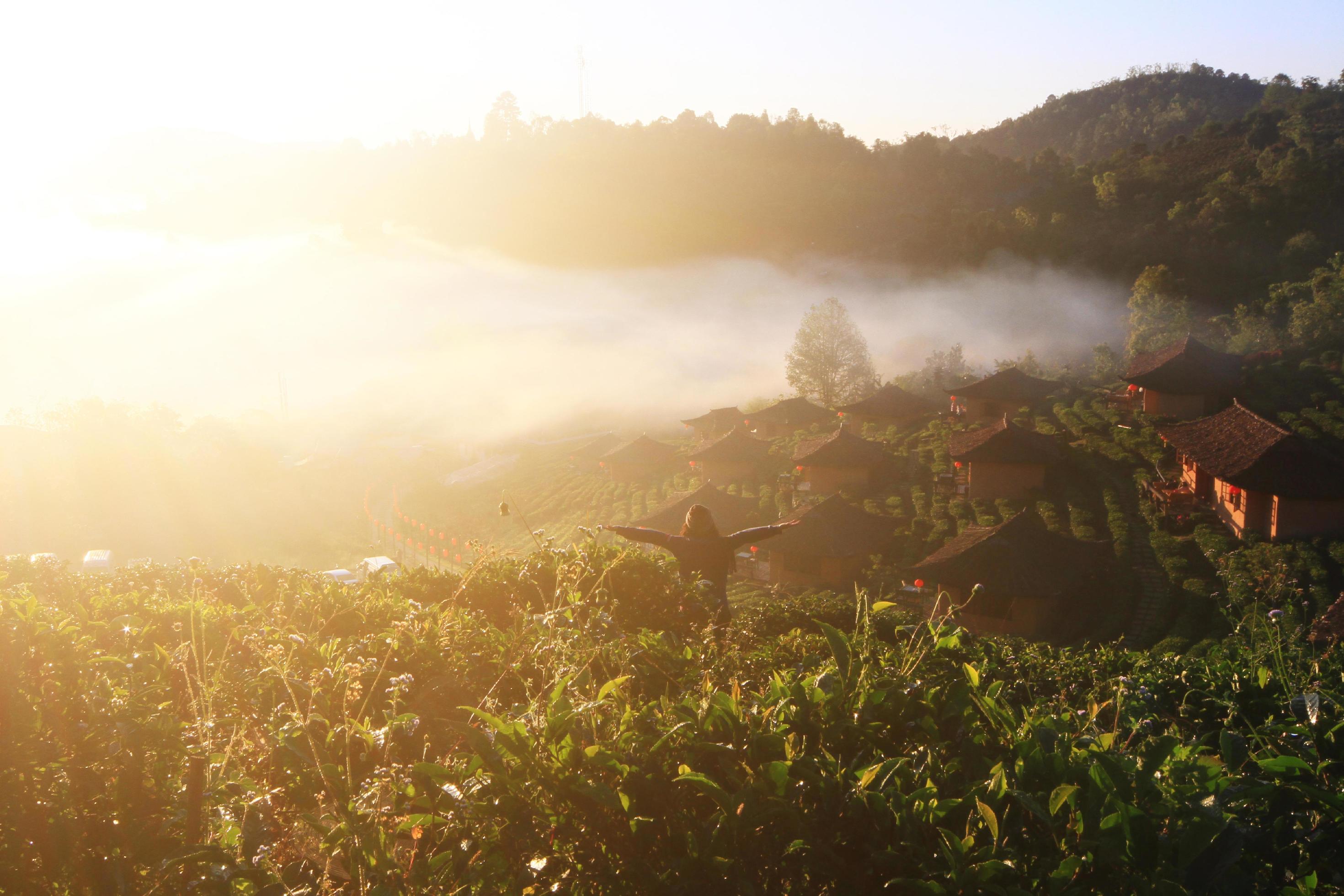 Asian woman Standing back and arms open air in Paradise of freedom life in beautiful mist and sunrise on the mountain. success concept Stock Free