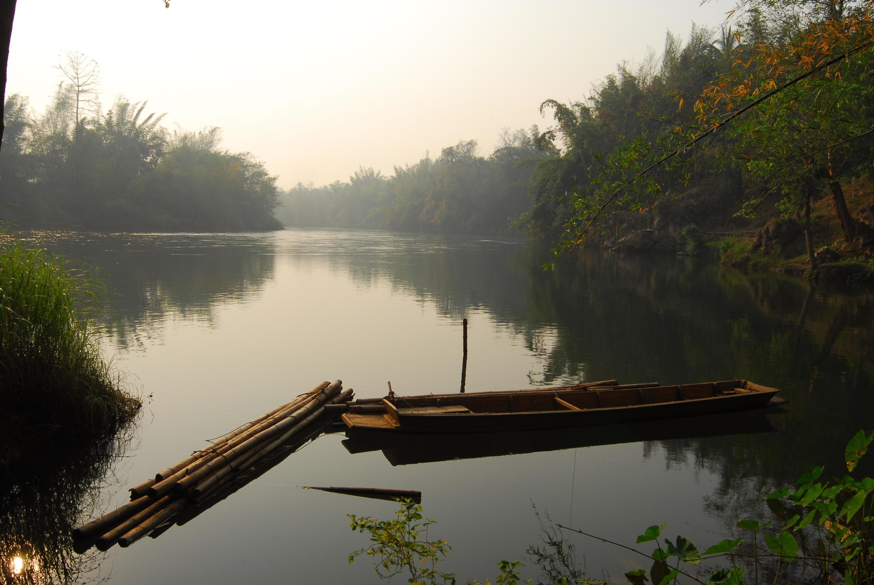 Beautiful nature of the water lake forest Stock Free