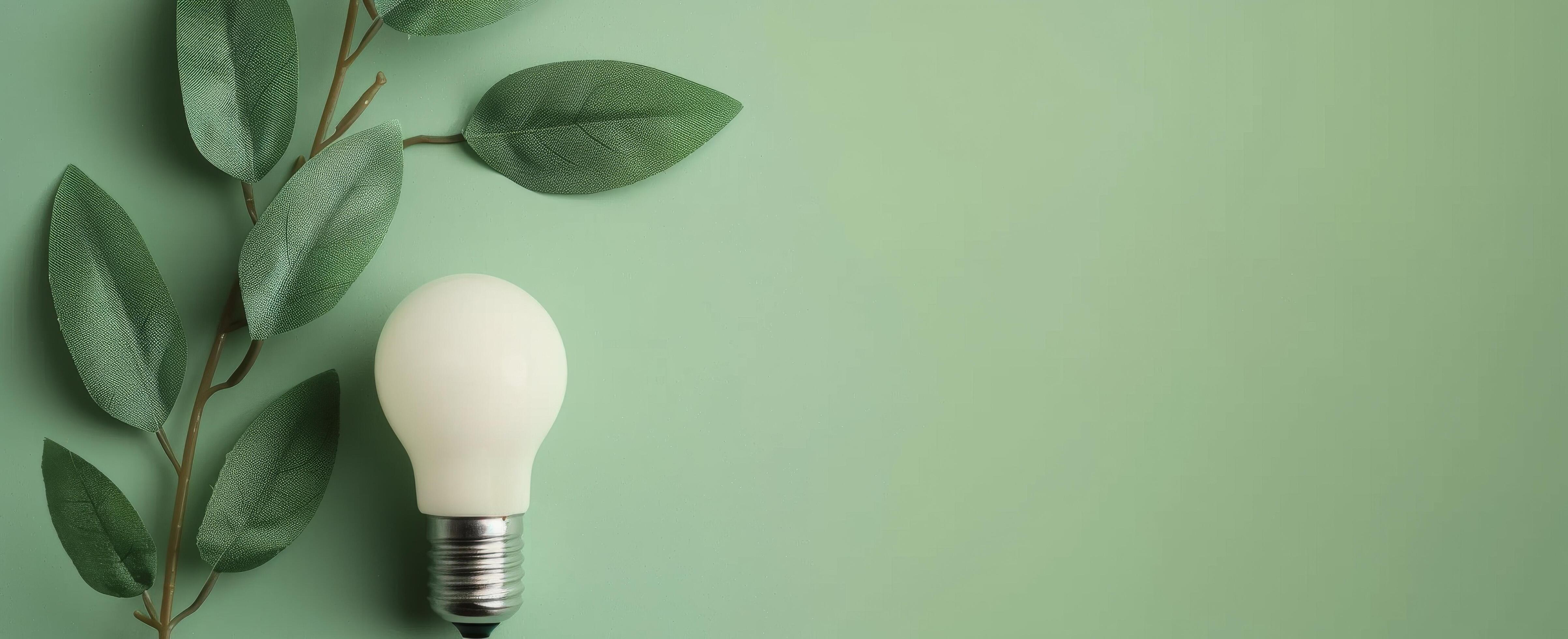 Eco-Friendly Lightbulb With Leaves Against a Green Background Stock Free