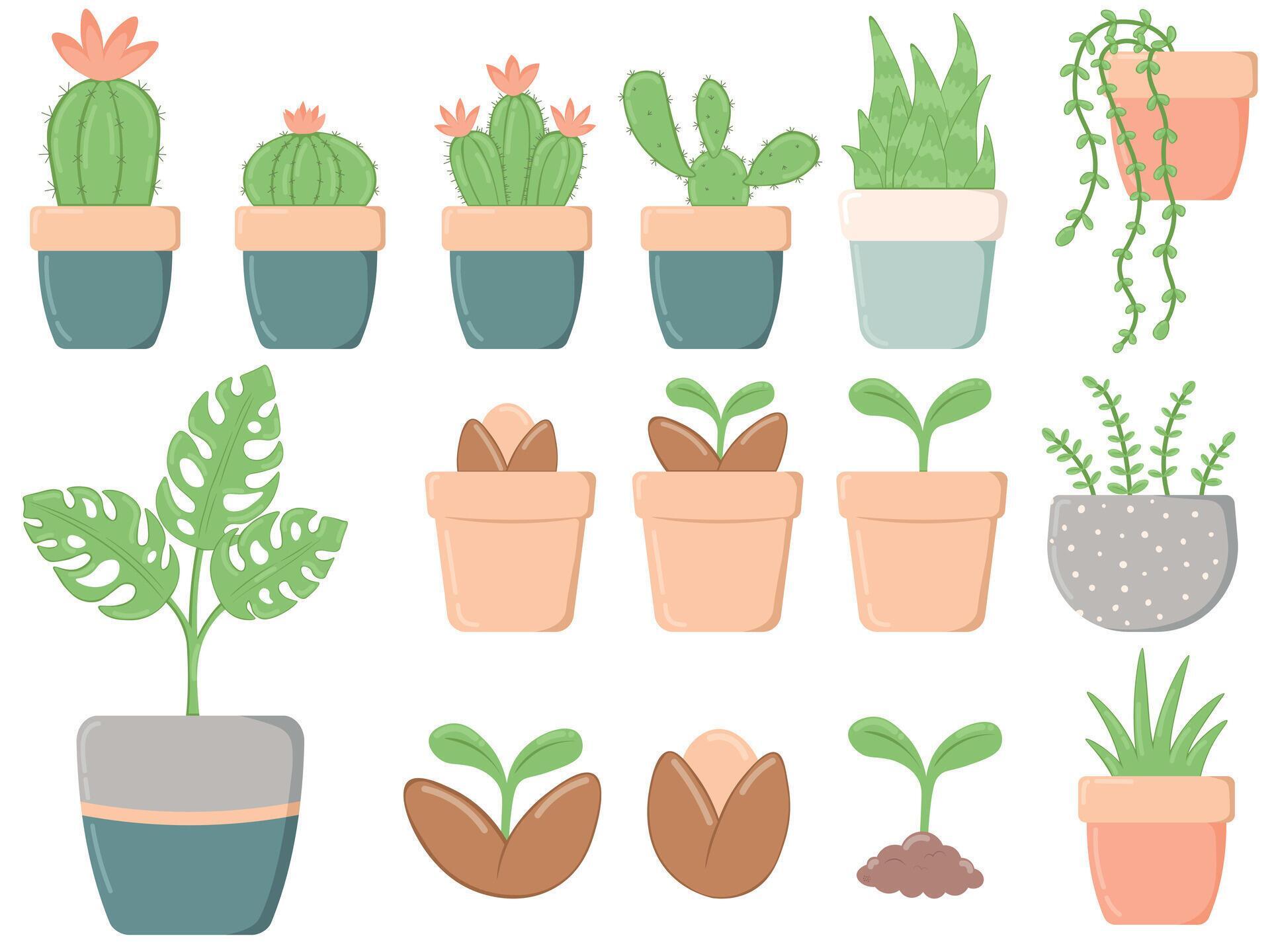 Spring set of green plants in flower pots, vector illustration free Stock Free