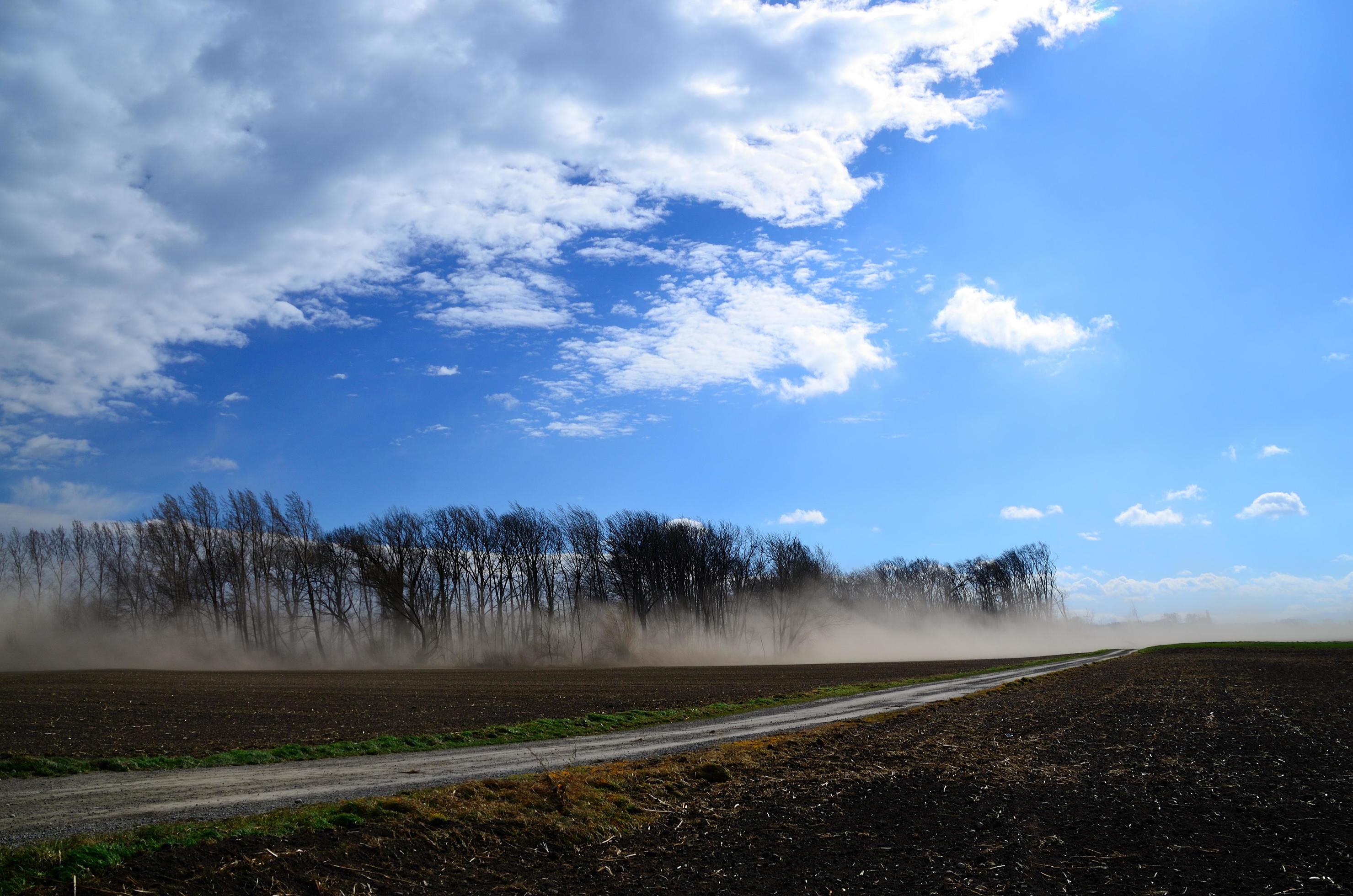 strong sand storm on a field Stock Free