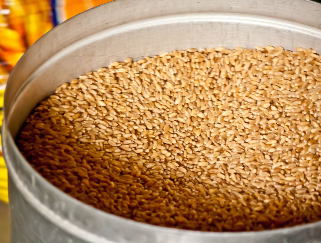 Storage Of Wheat Grains Stock Free