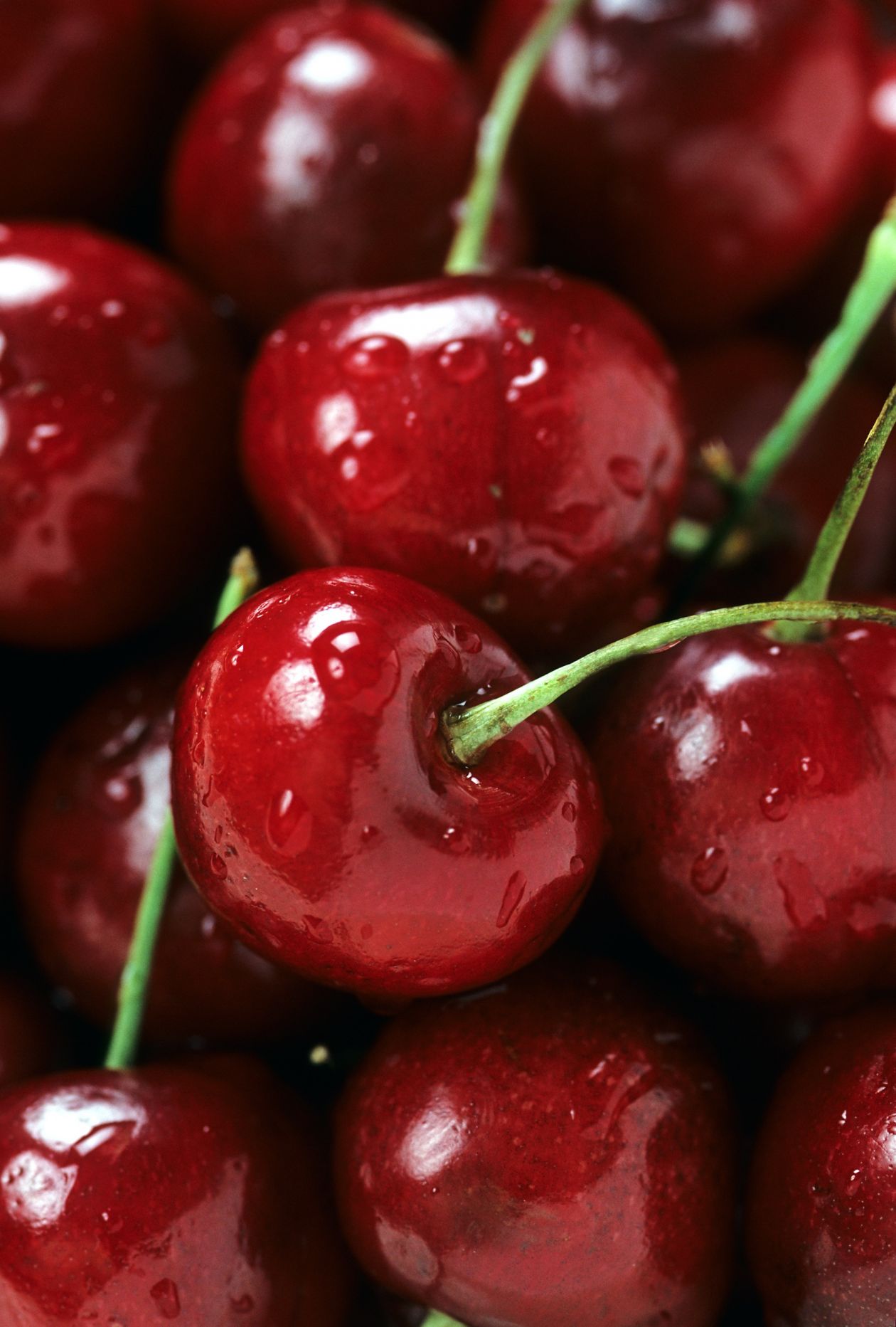 Cherries Stock Free