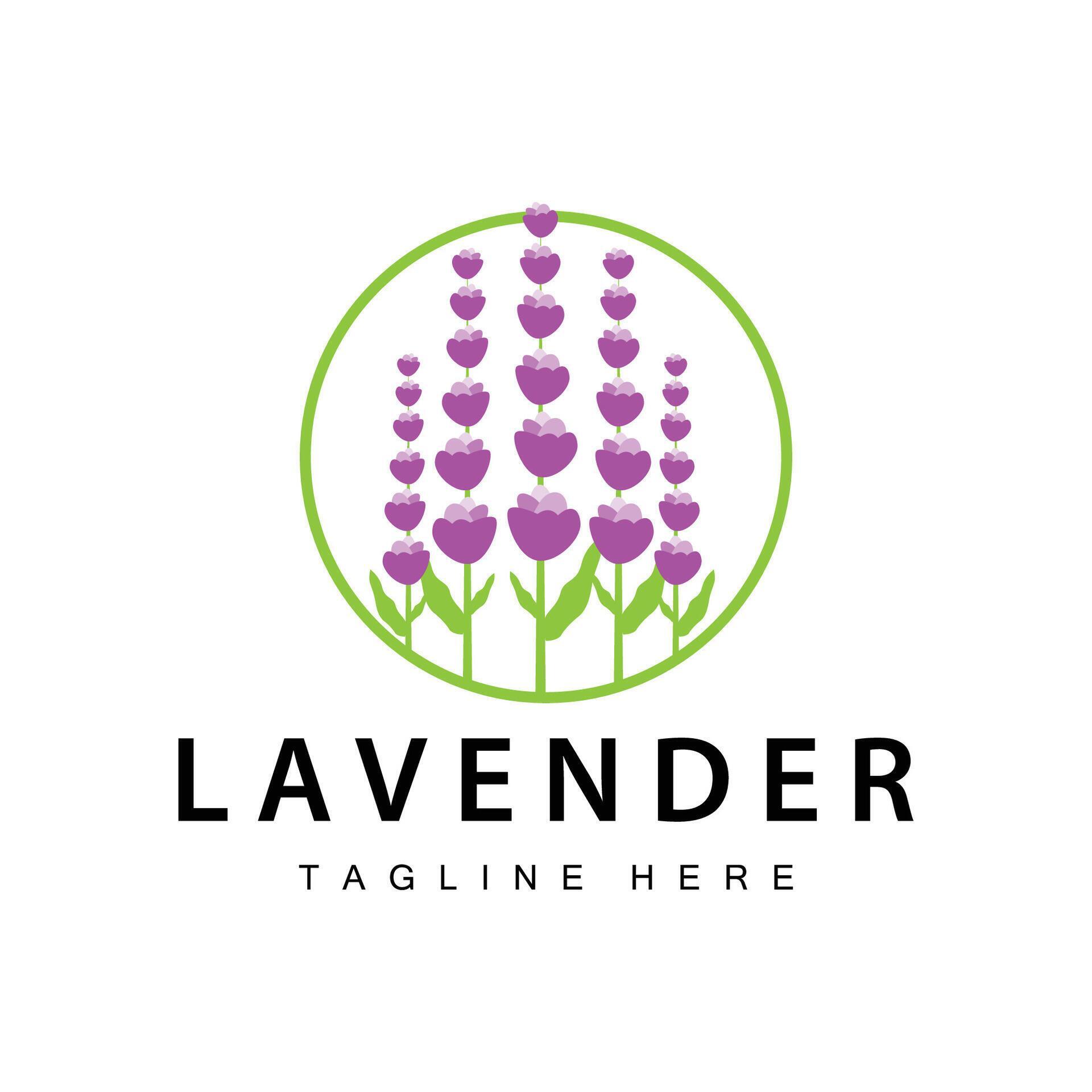 Lavender logo simple design vector cosmetic plant purple color and aromatherapy lavender flower garden template Stock Free