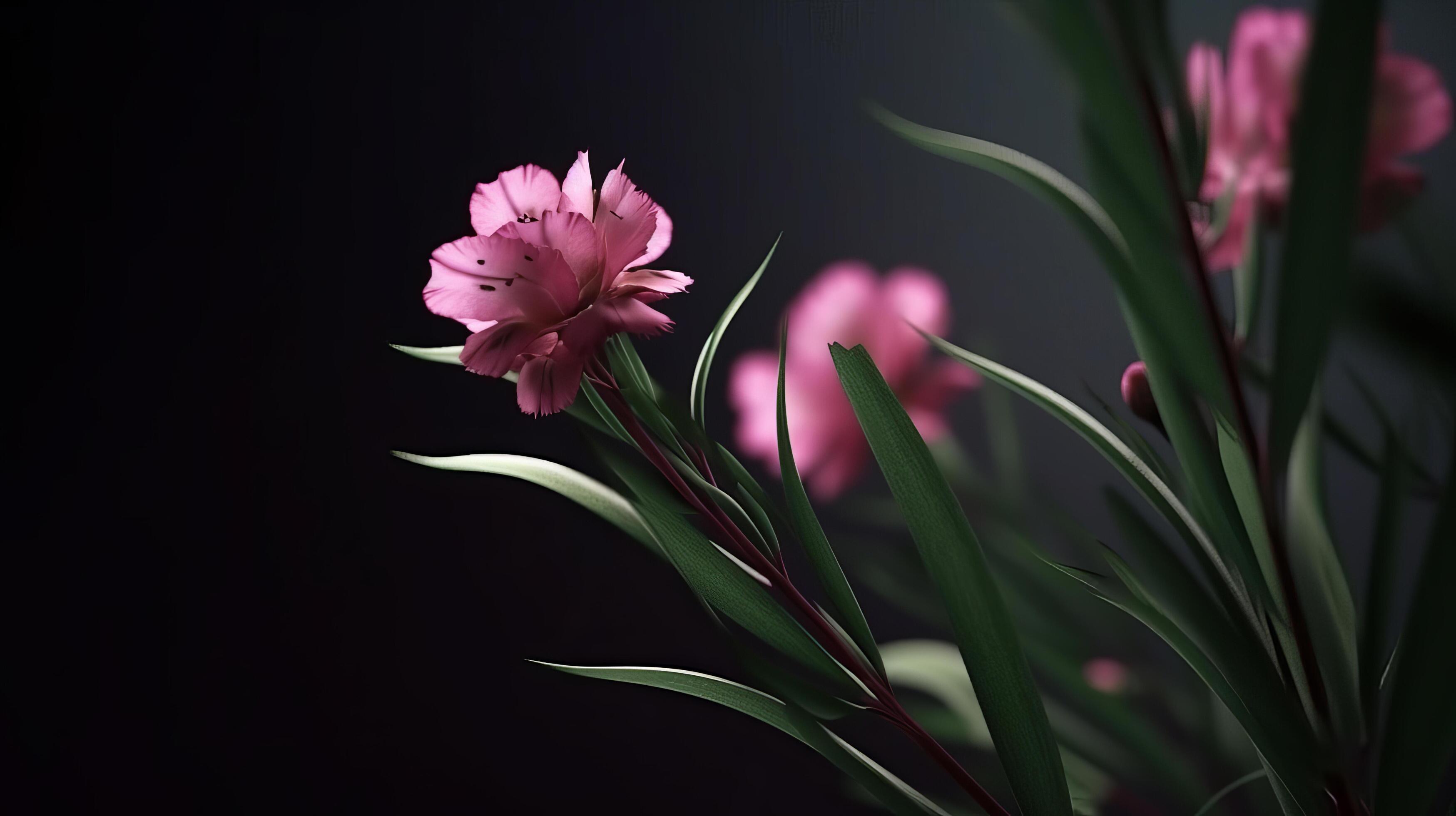 Pink natural flower background. Illustration Stock Free