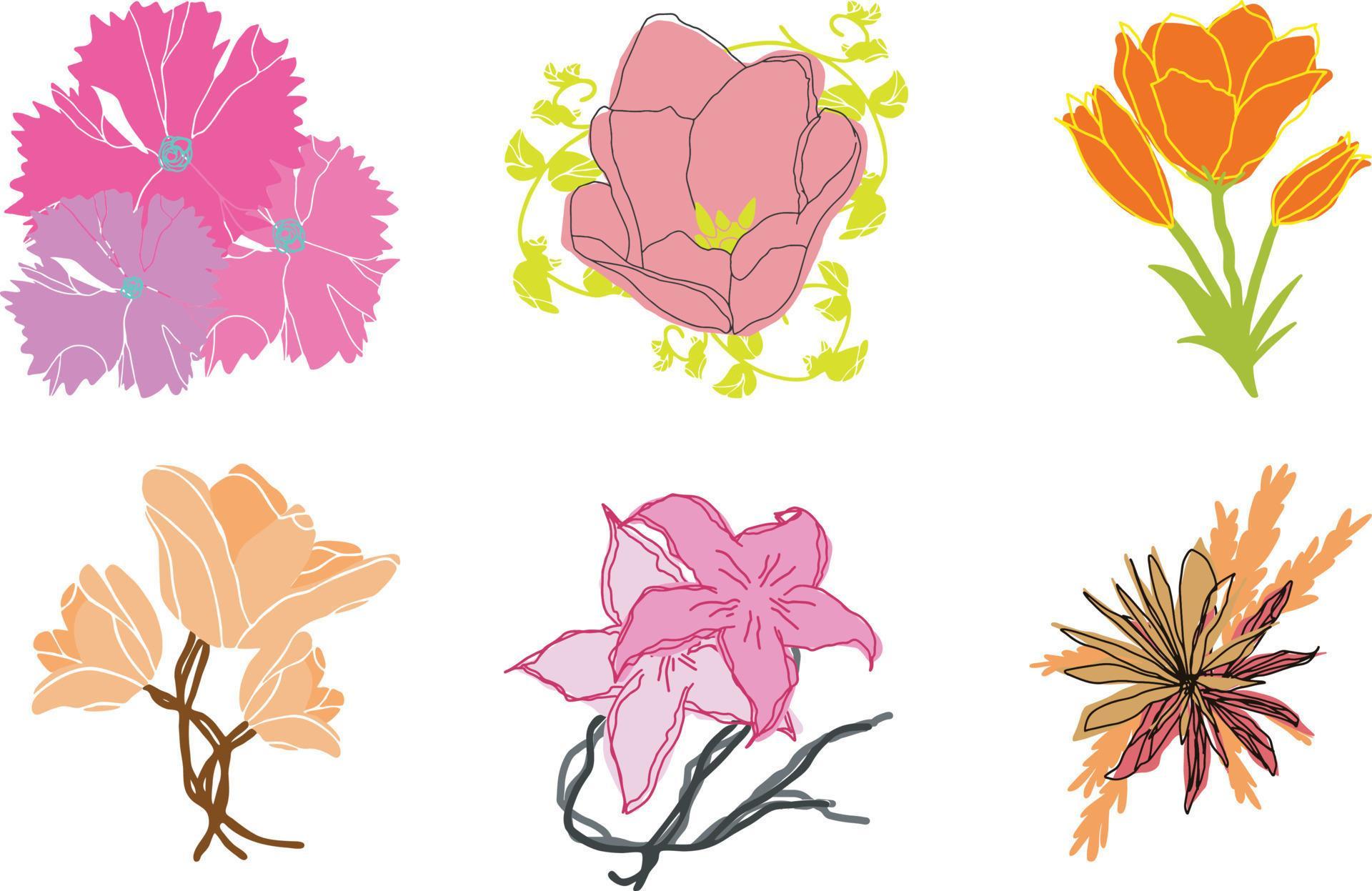 Vector line black illustration graphics flowers set peony, protea, tulip, iris with colors stains Stock Free