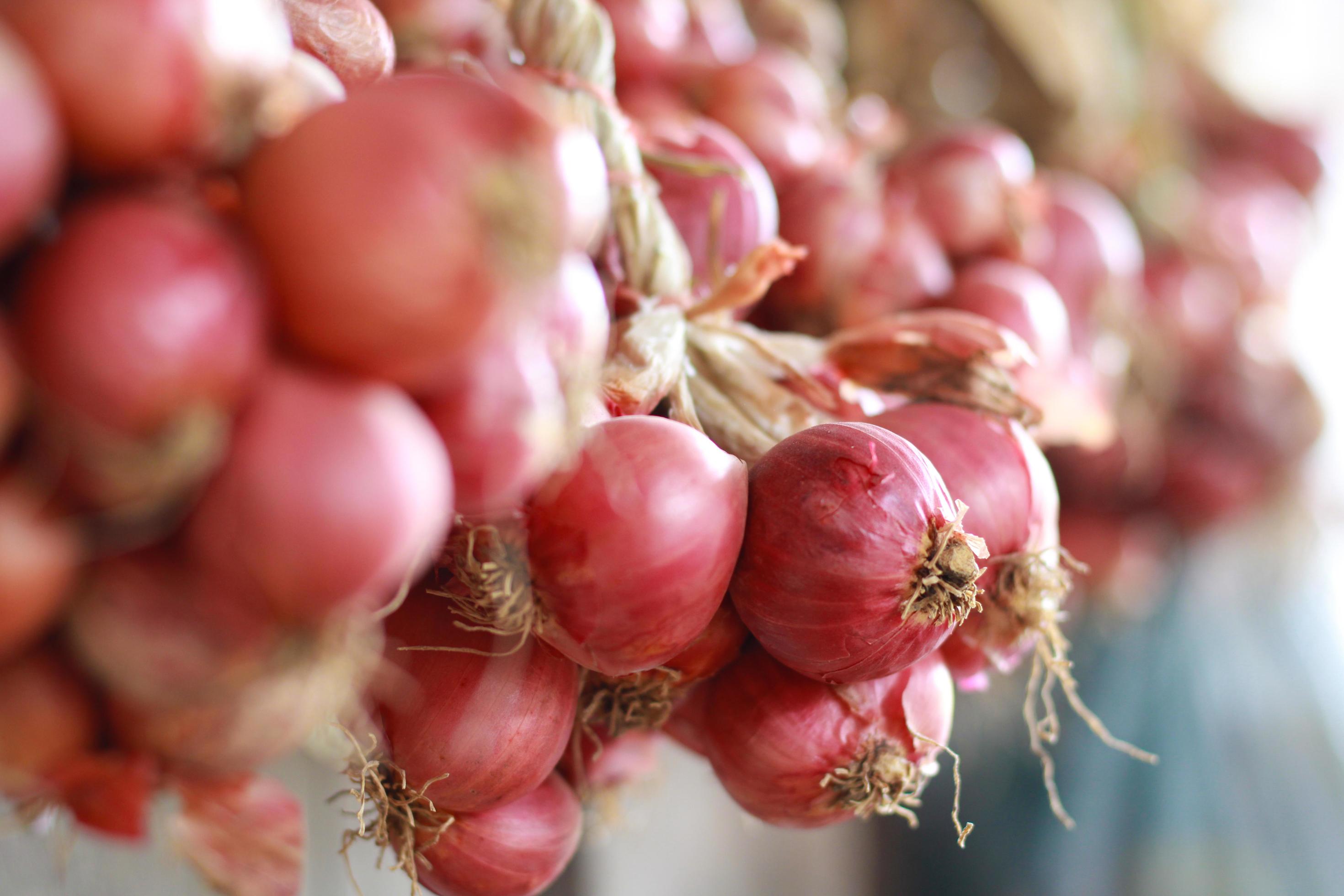 Raw shallot for cooking. Thai food. Thai herbs Stock Free