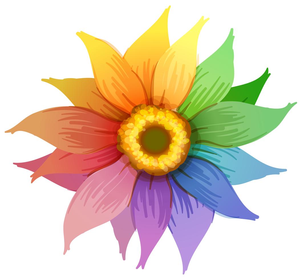 A rainbow flower Stock Free