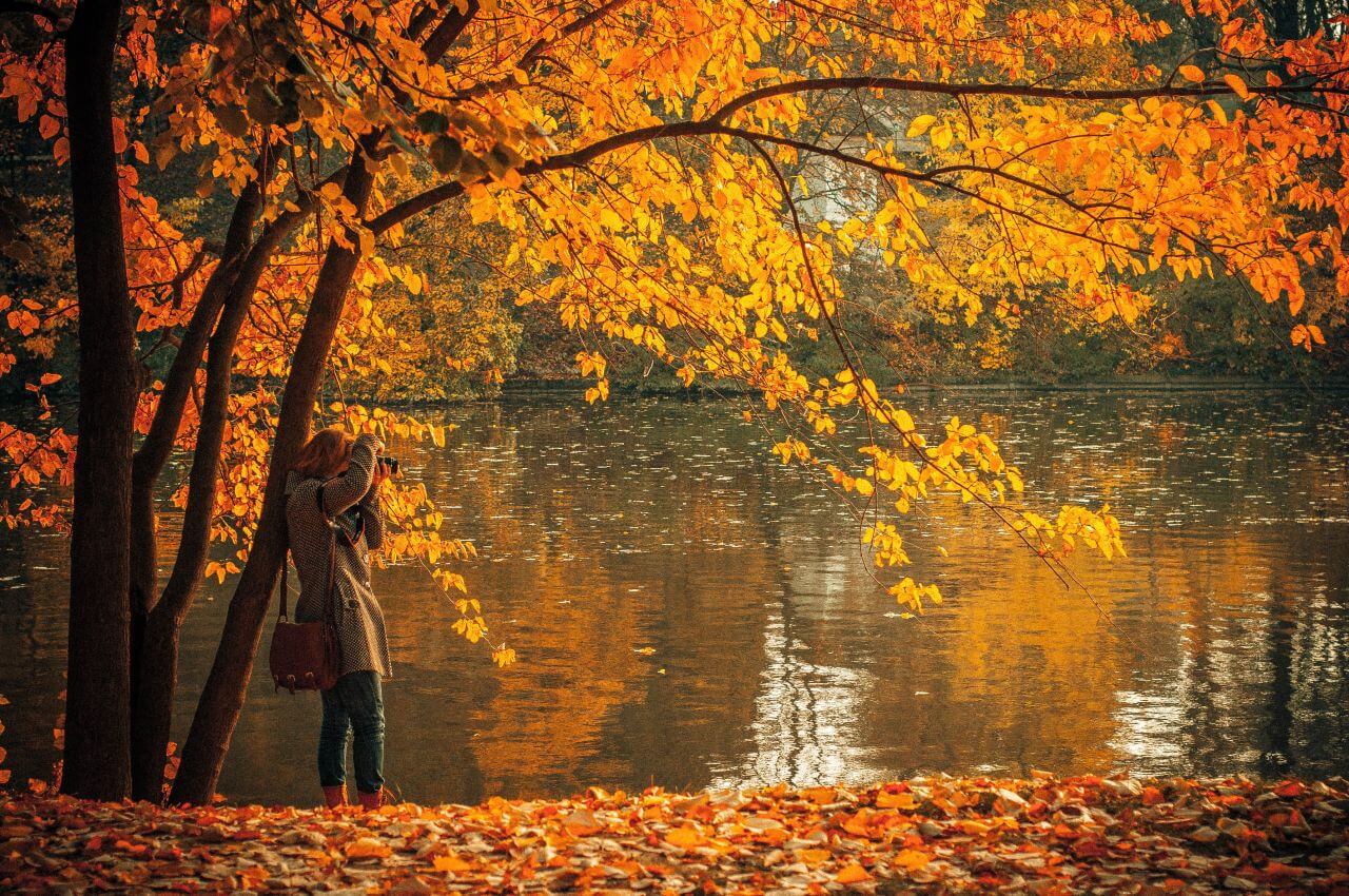 Autumn Lake Photographer Woman Stock Free