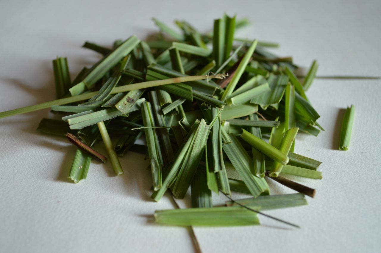 Lemongrass Leaves Cut Stock Free