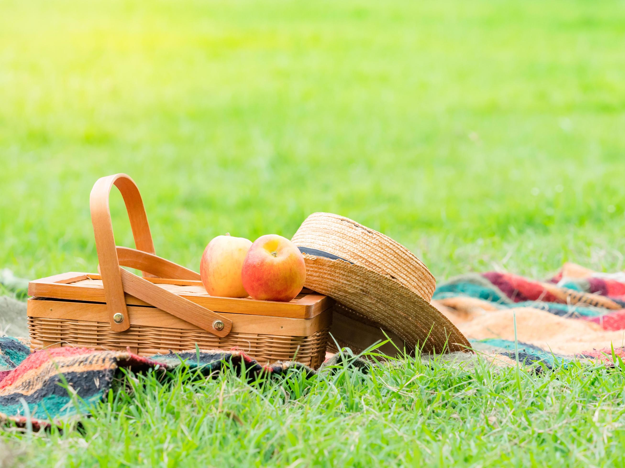 Food basket prepared for your relaxation in the park Stock Free