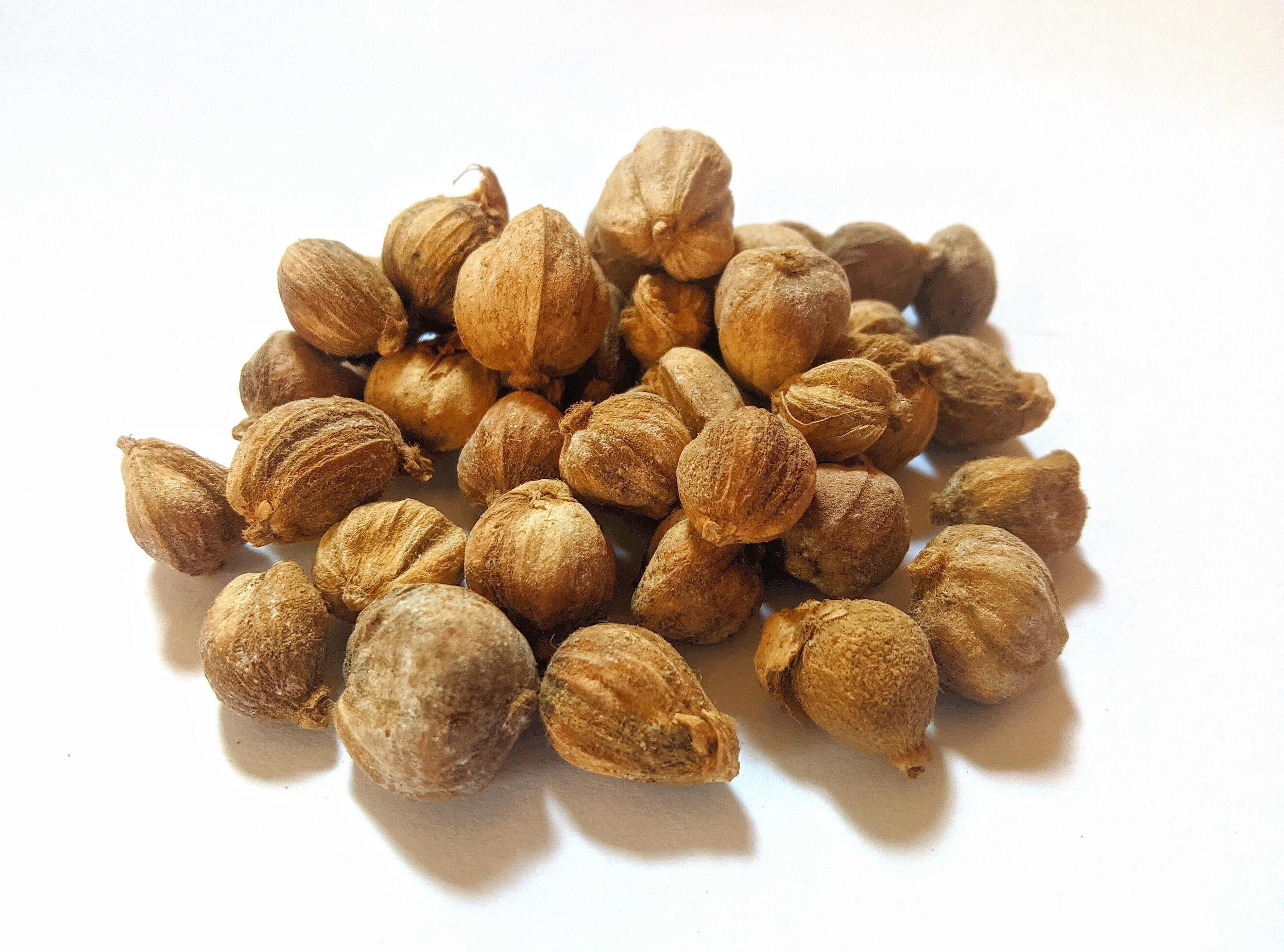 Dried cardamom, as a complementary spice in cooking seasonings, flat lay shot and isolated on white background. Stock Free